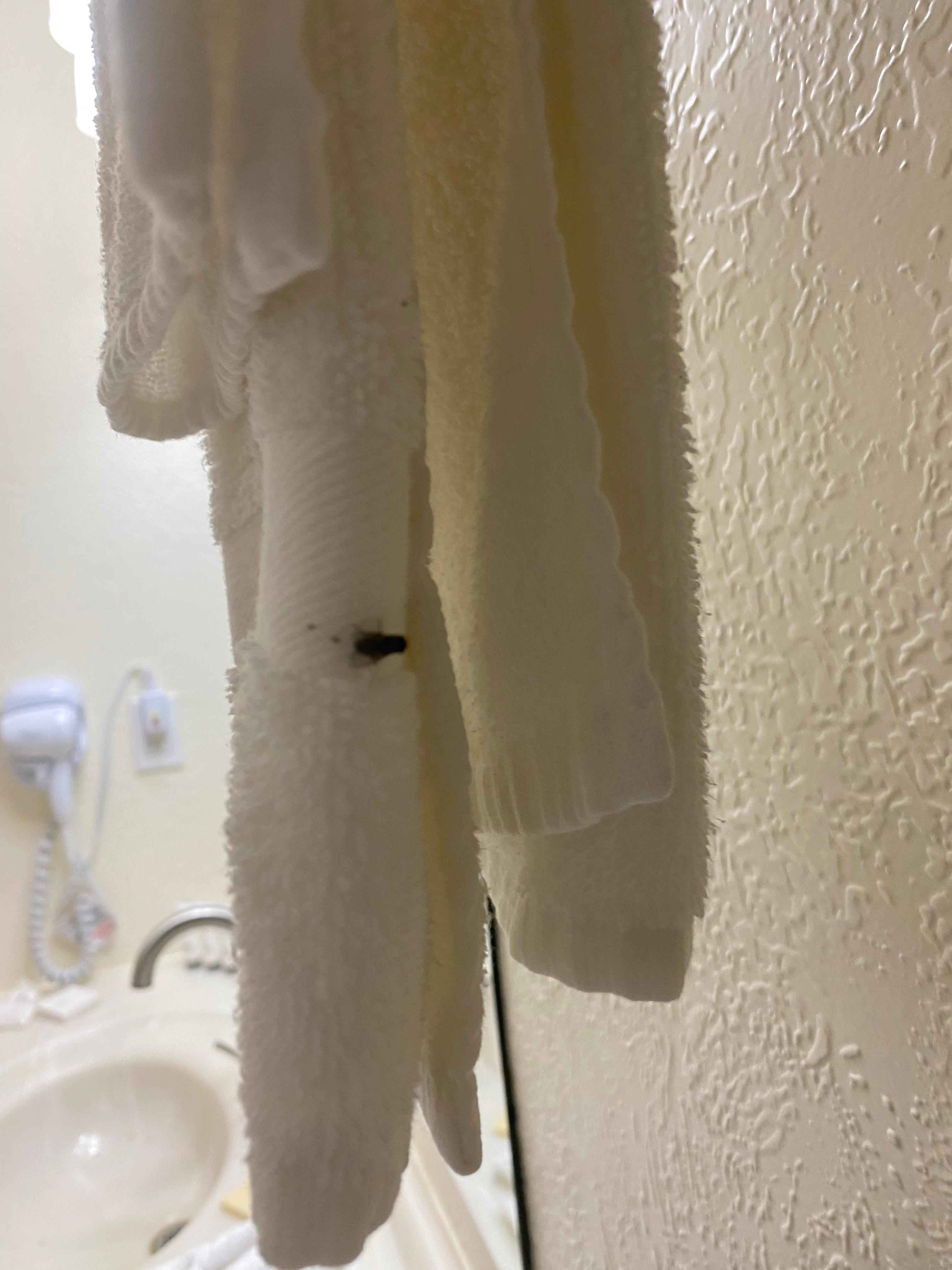 Towel in bathroom with bug on it