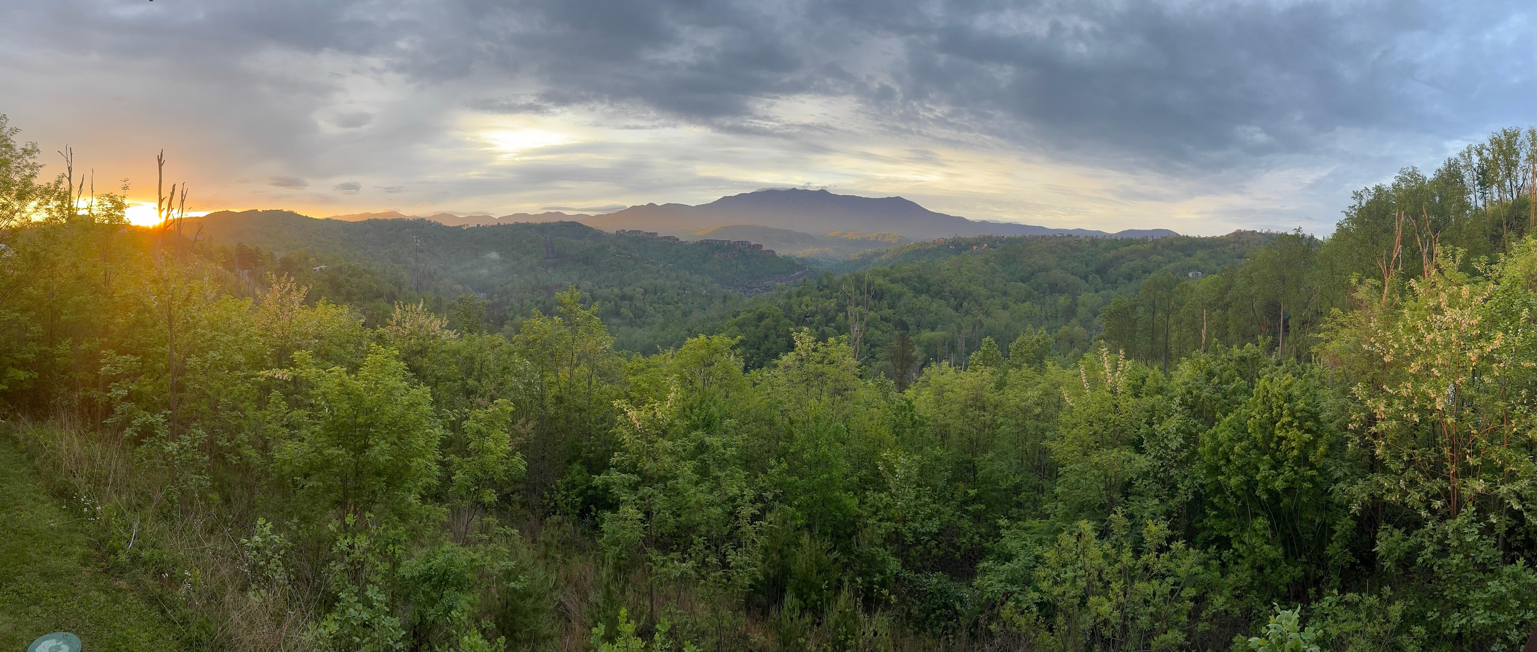 What a view