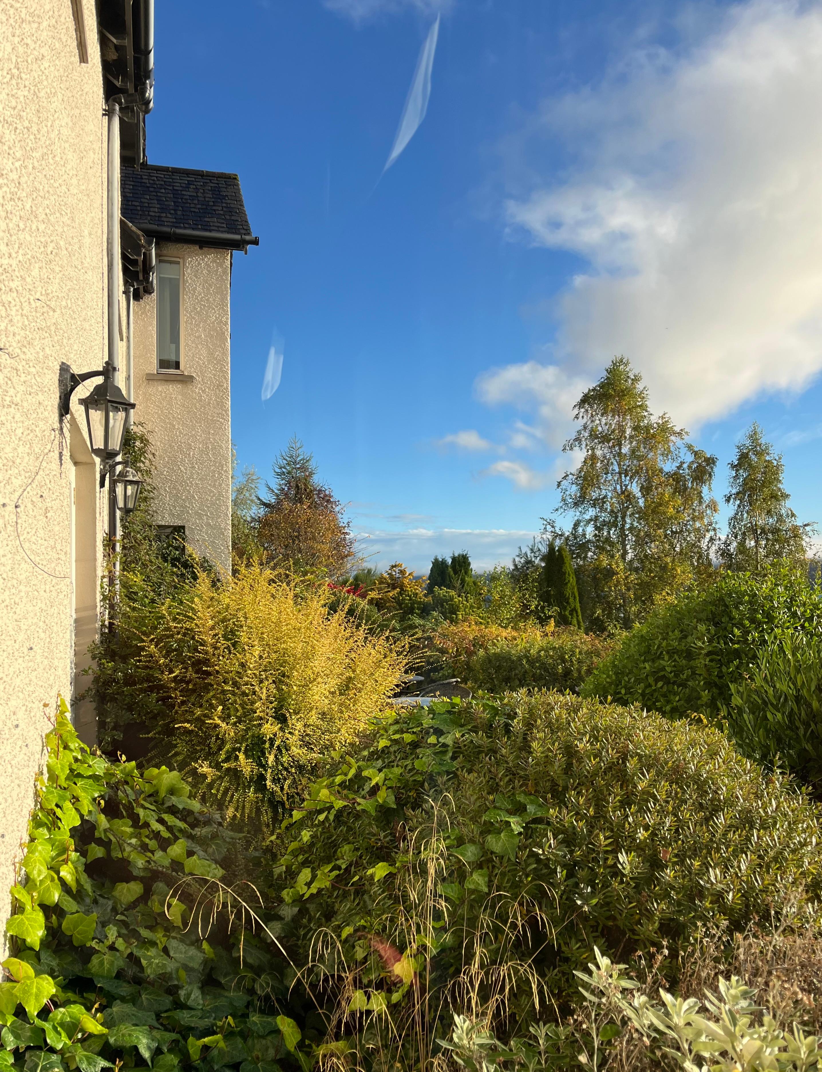 Gardens in front of property