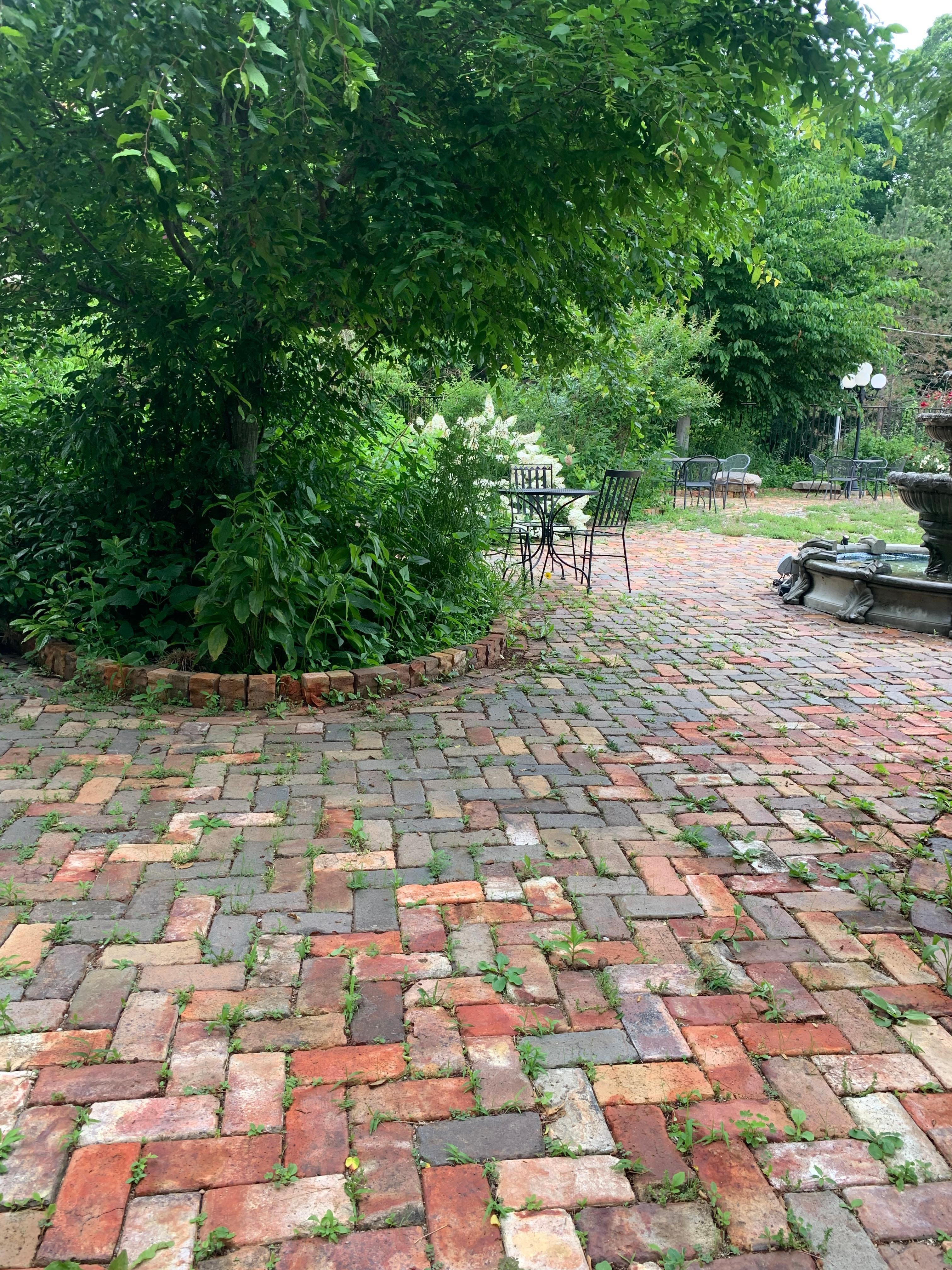 Native Plants