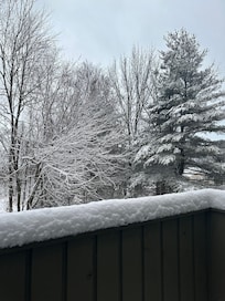 View from the room