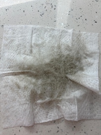 Bathroom floor that I cleaned myself.