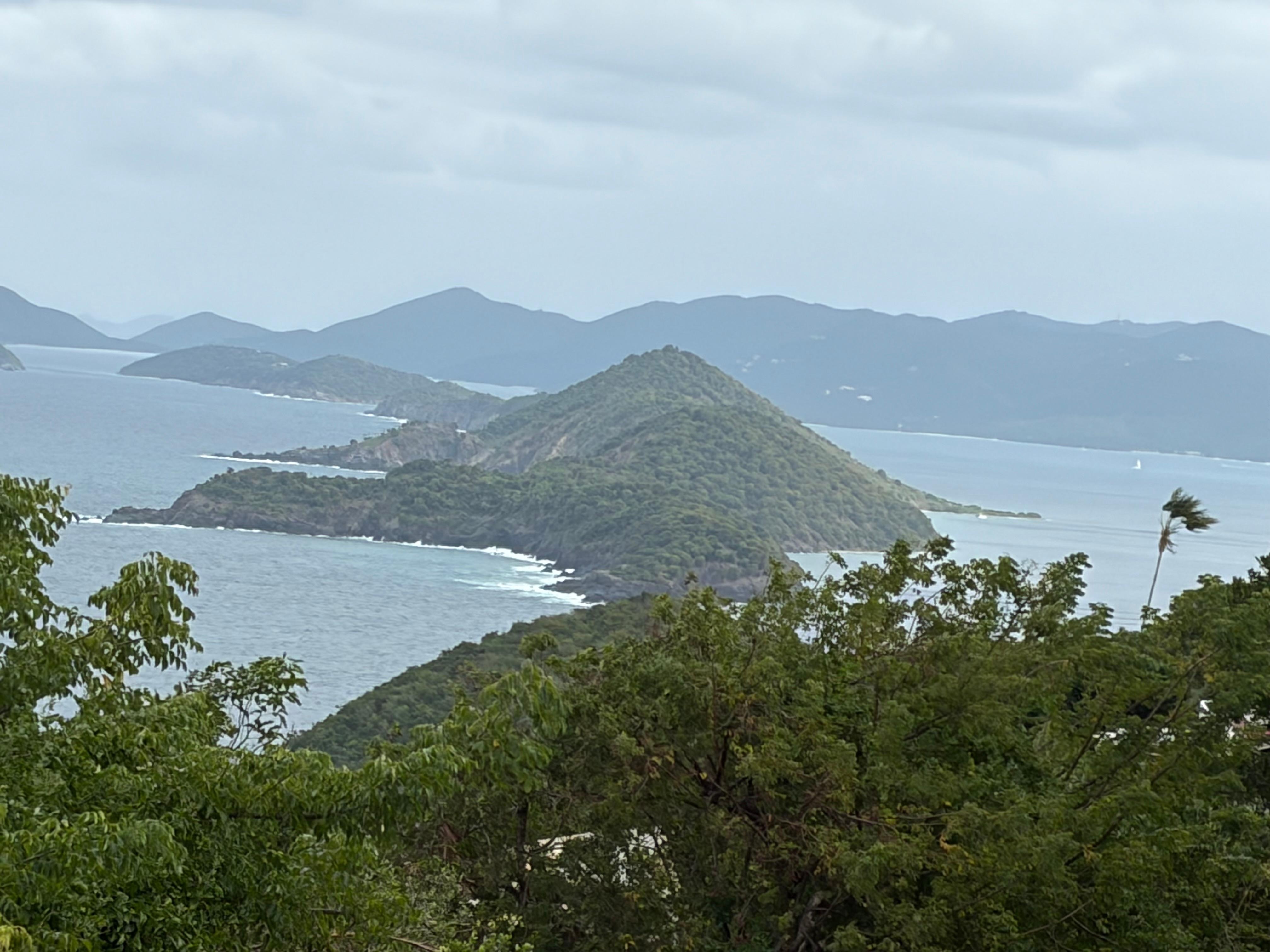 View from the neighborhood 