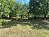 tuin