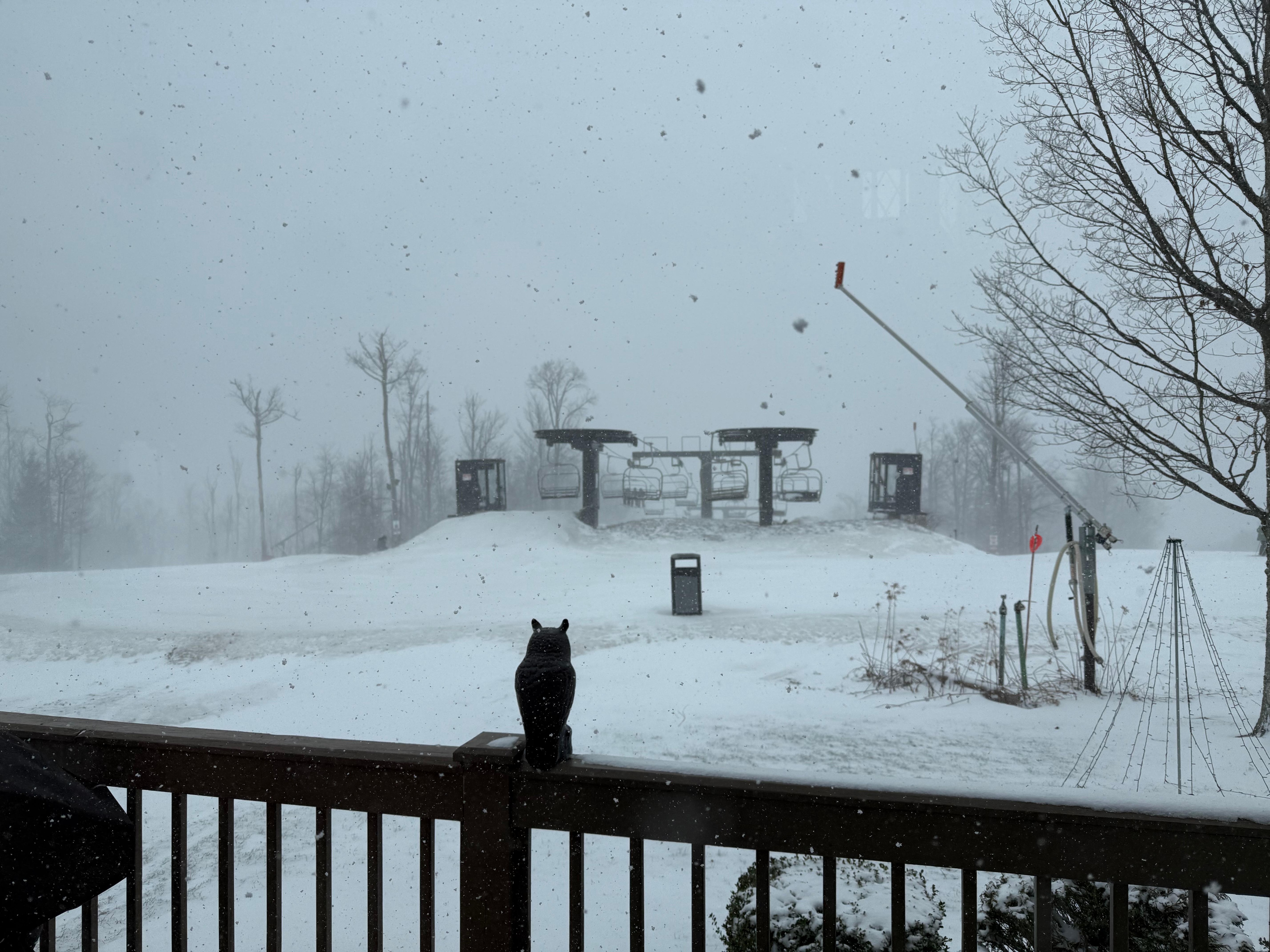 We skied right from the house!