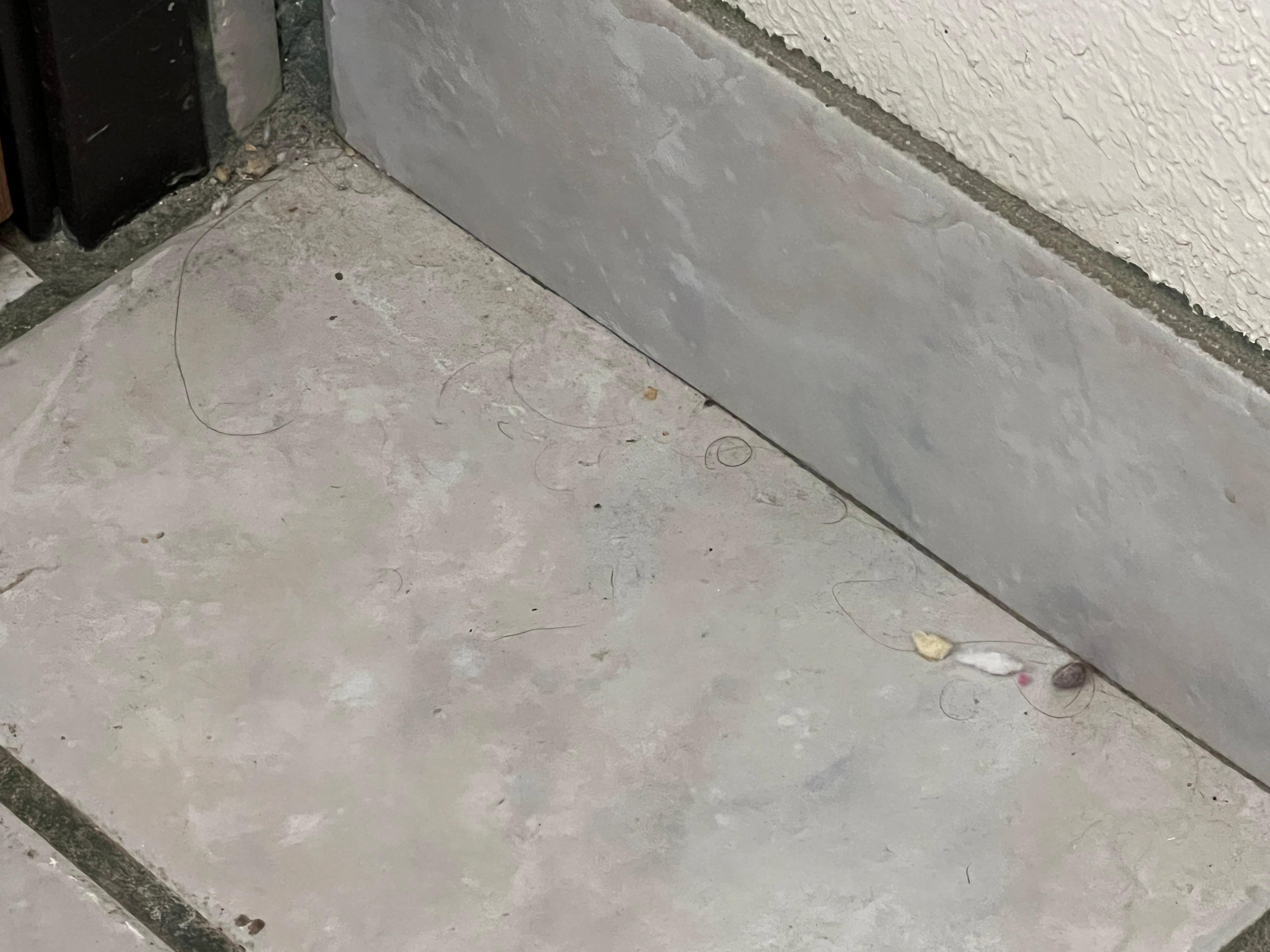 Debris all over floors, not even swept let alone mopped 