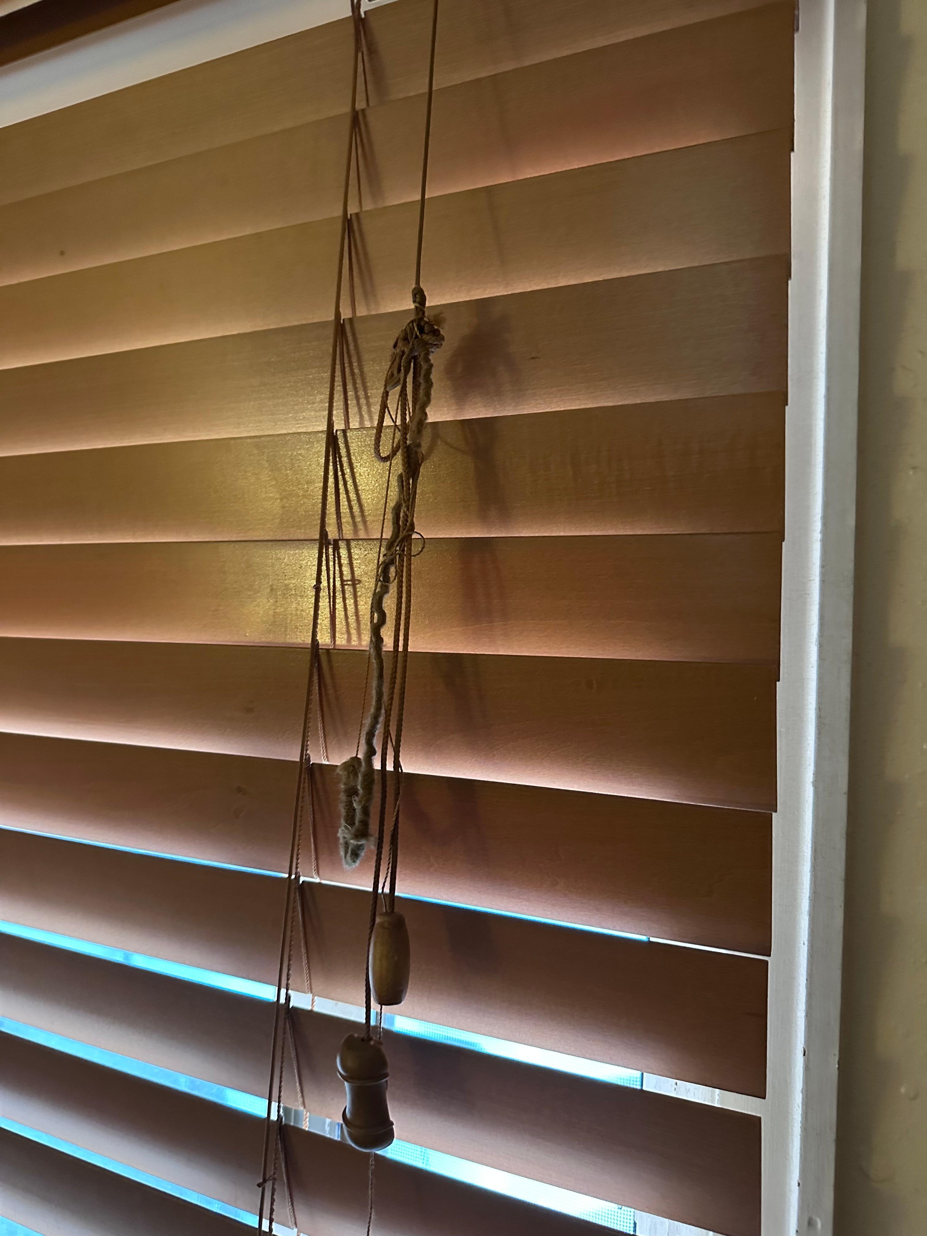 Blind didn’t work. No locks on window. 