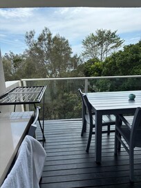 Balcony with line of trees hiding beach immediately behind.