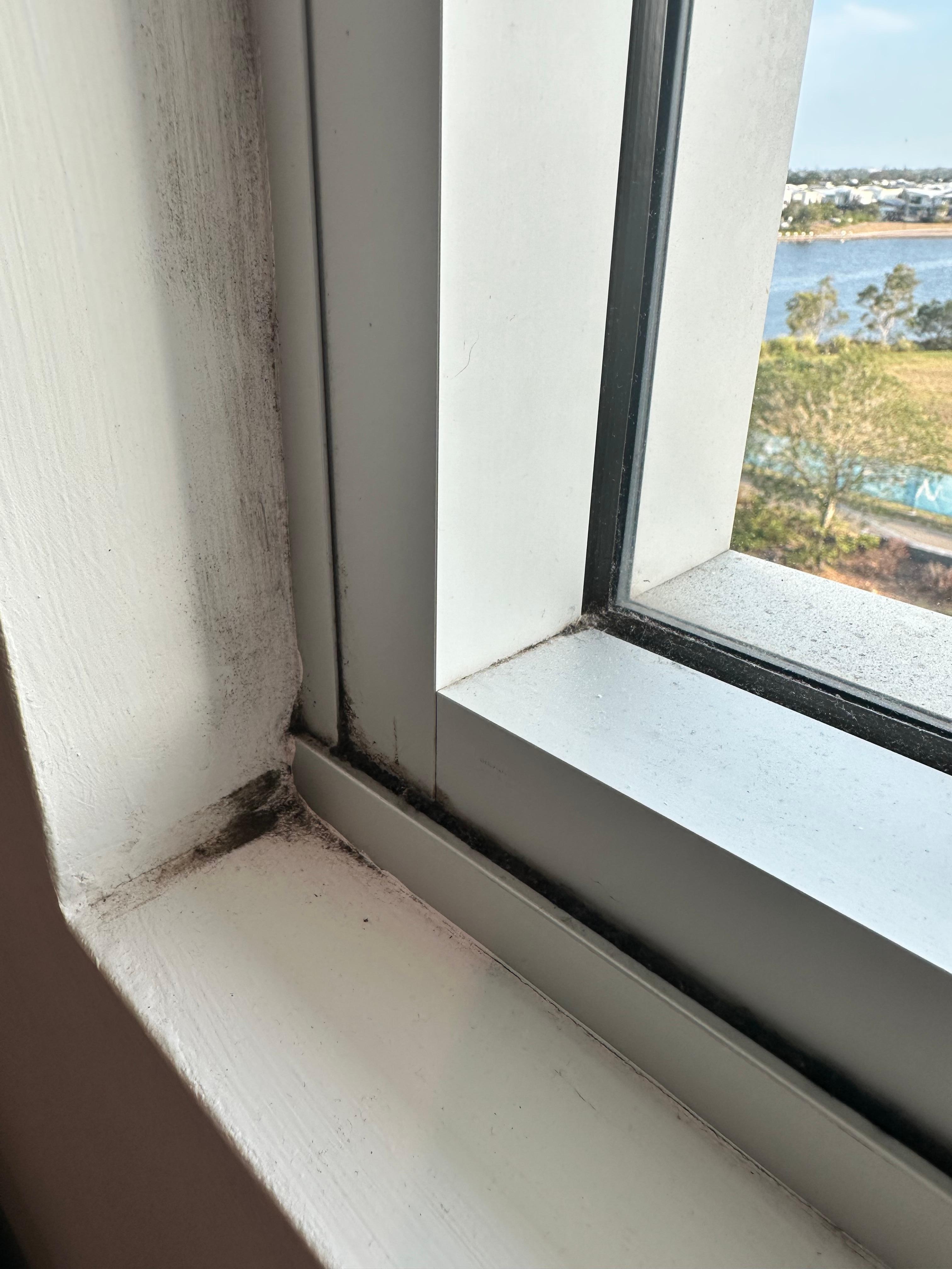 Window sill behind the curtains