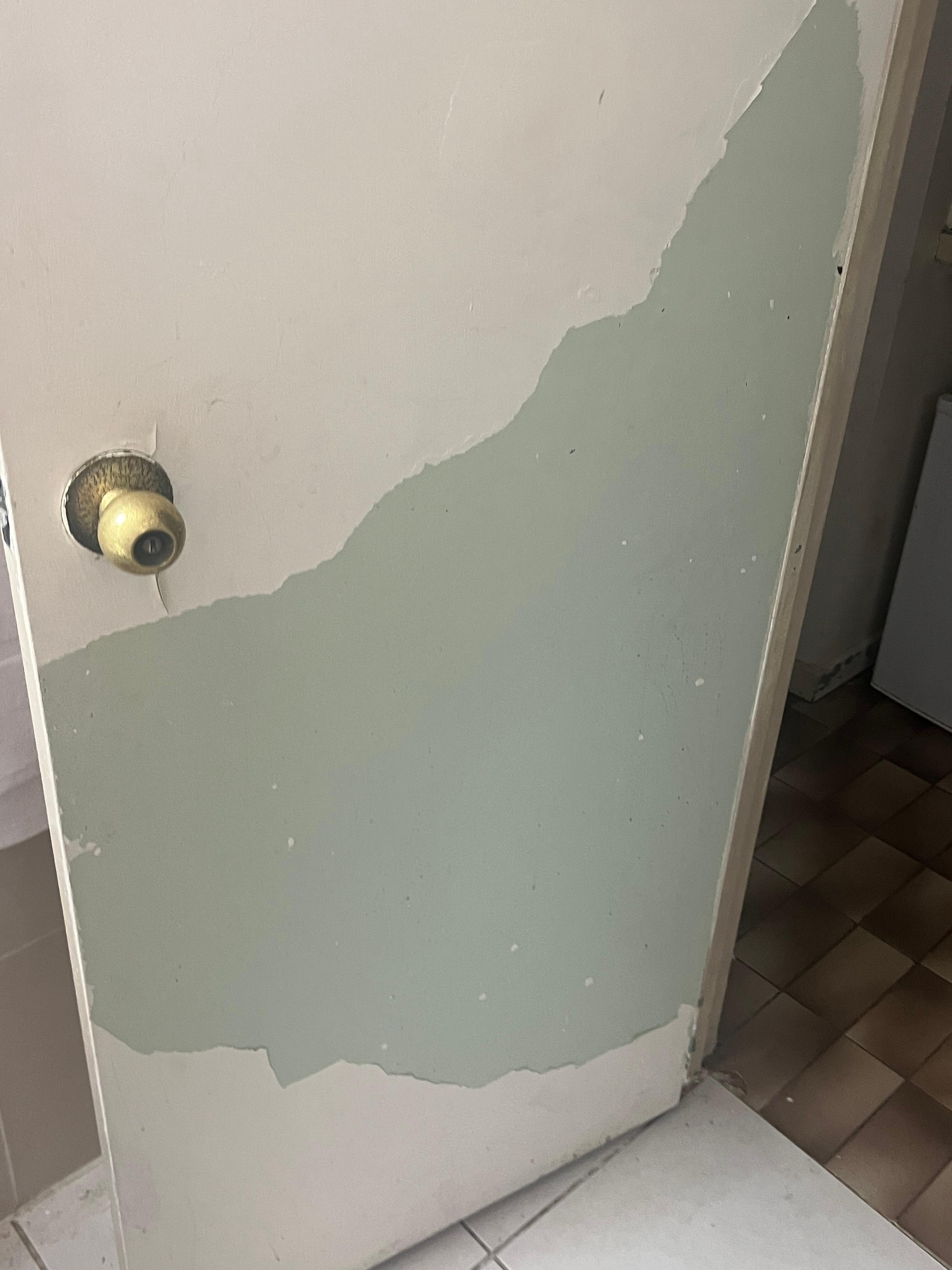 Bathroom door