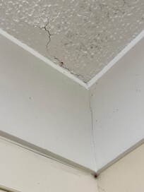 Spiders and spiderwebs
