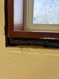 Unfinished bathroom exposing cobwebs and dead spider