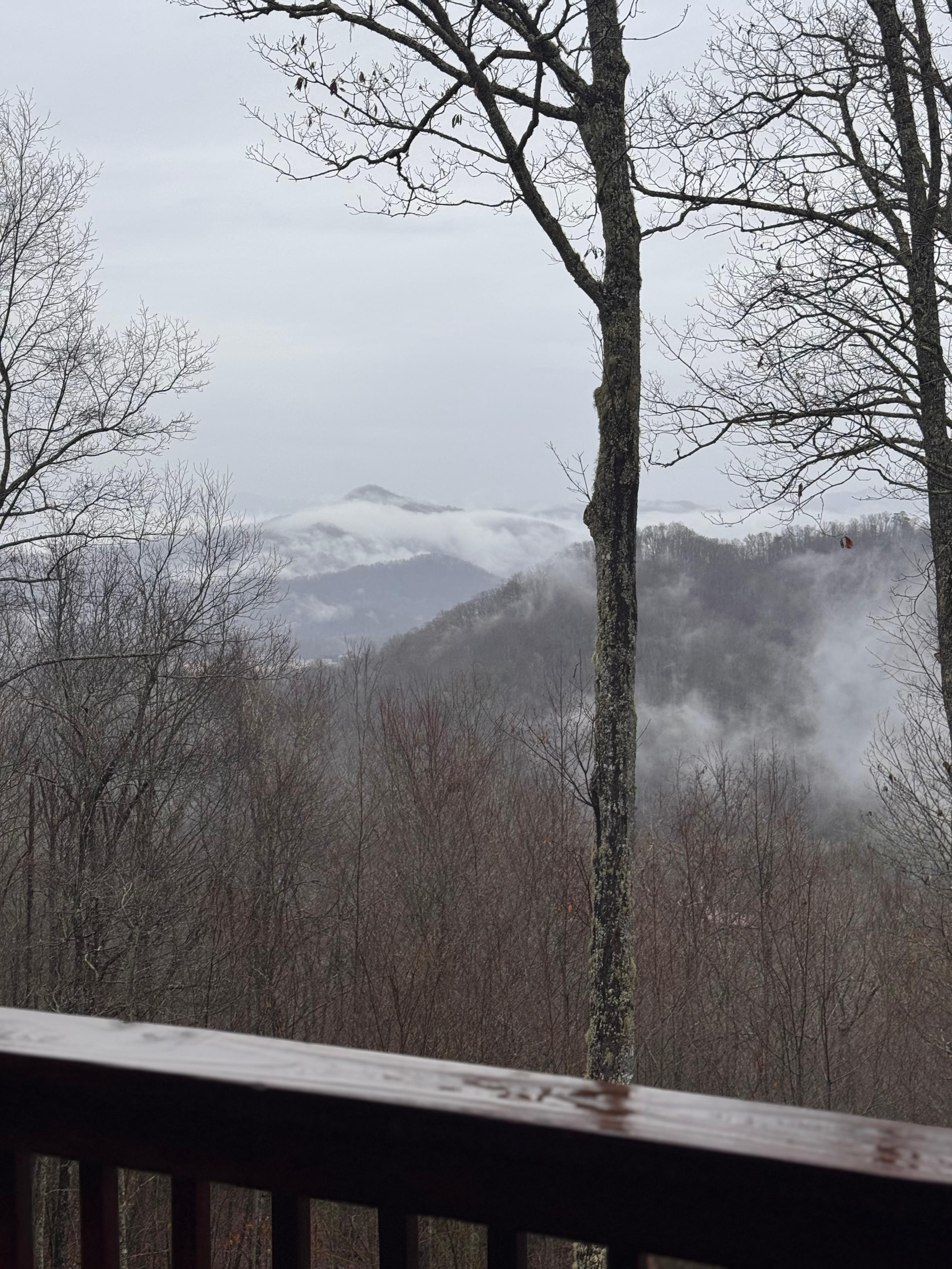 View from upstairs balcony, Feb ‘26