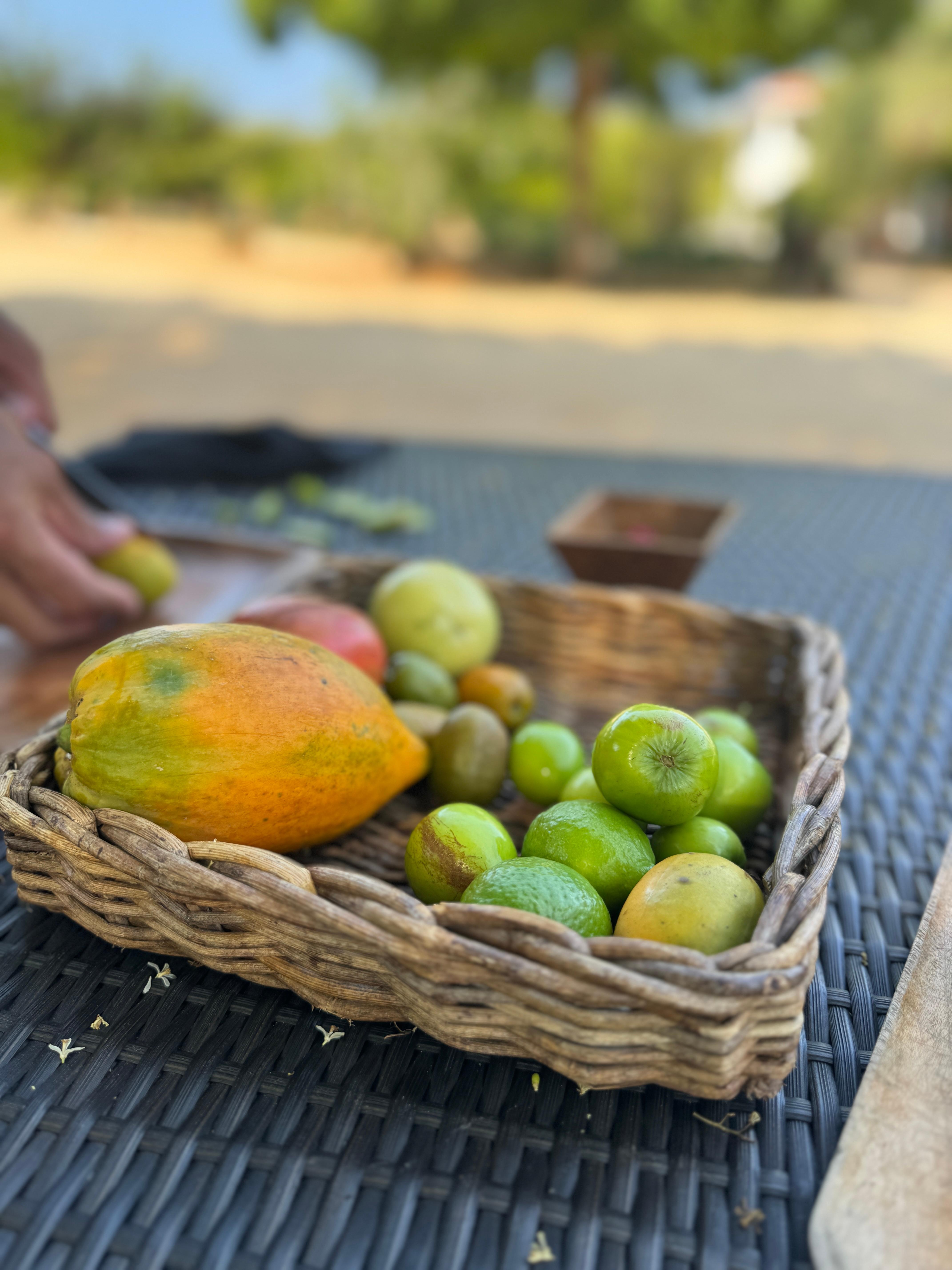 Fruit tasting after the tour 