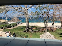 Iguana hotel off the patio