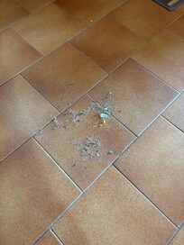 Cleaned the floors on the first day due to condition this was what was swept up in the kitchen. Paid in advance a 140euro cleaning fee on arrival asked for this back but it was not refunded.