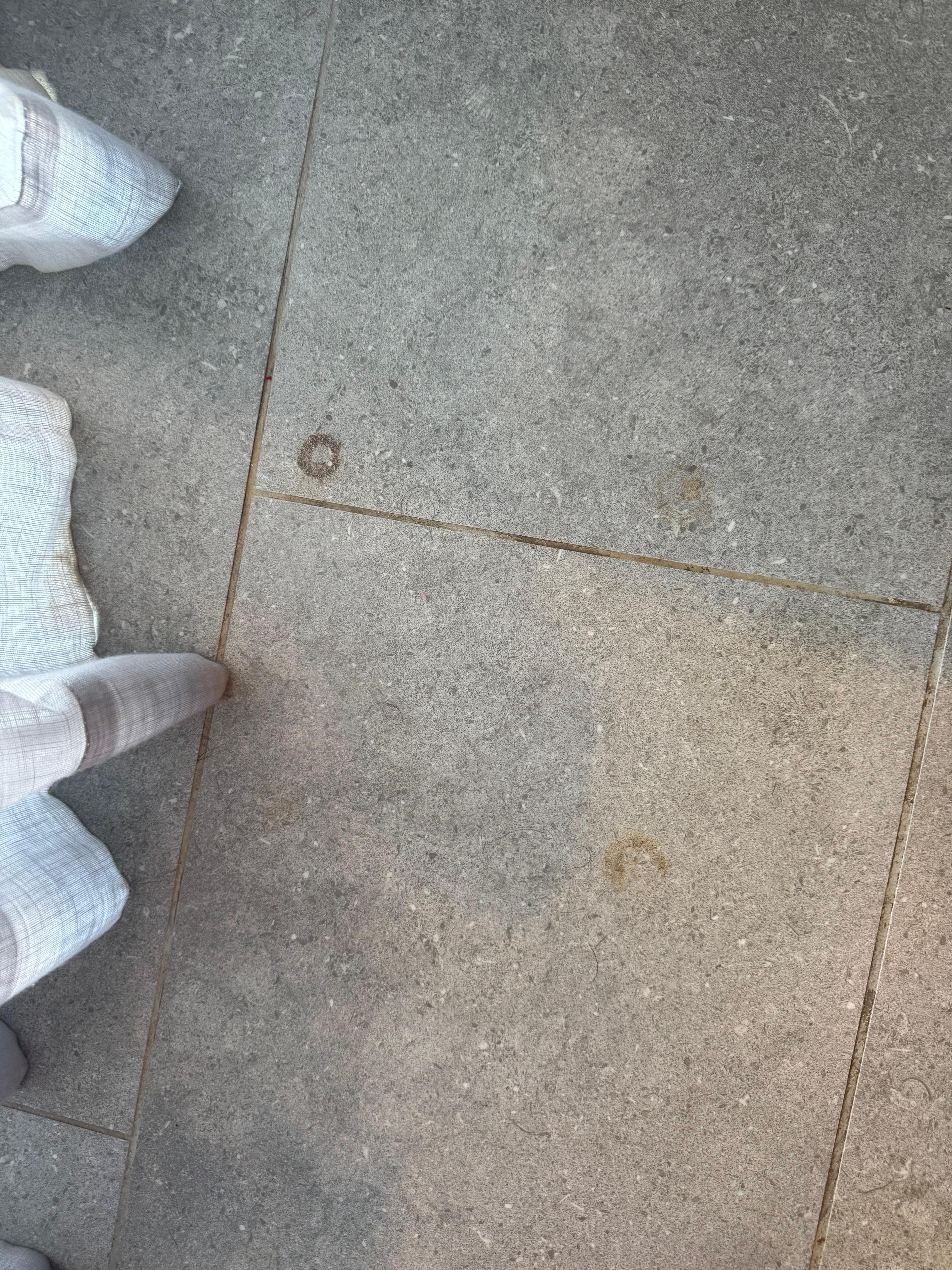 Hair from previous stay guest in my new room check in 