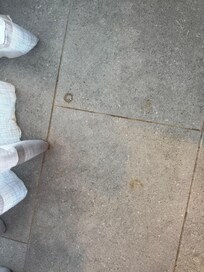 Hair from previous stay guest in my new room check in