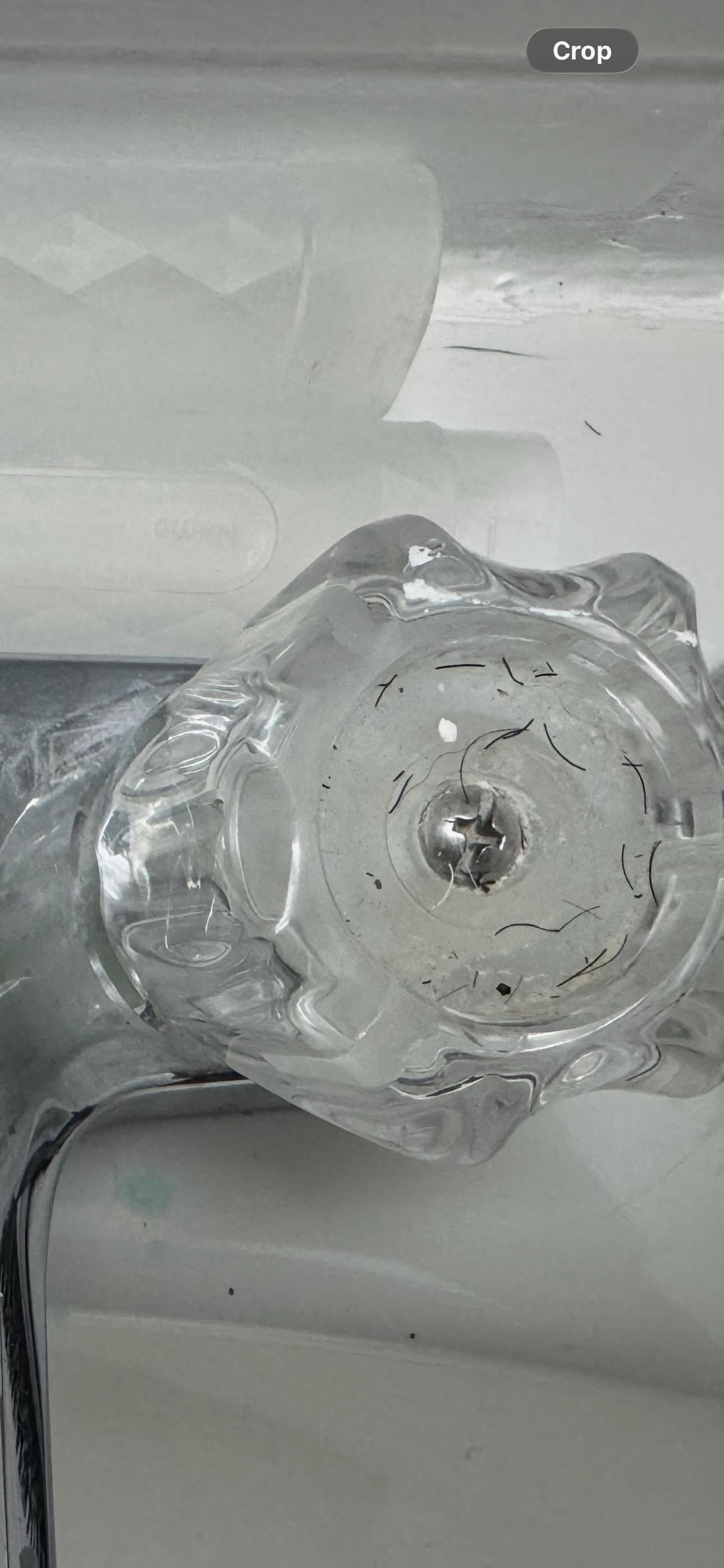 Facial Hair in bathroom faucet 