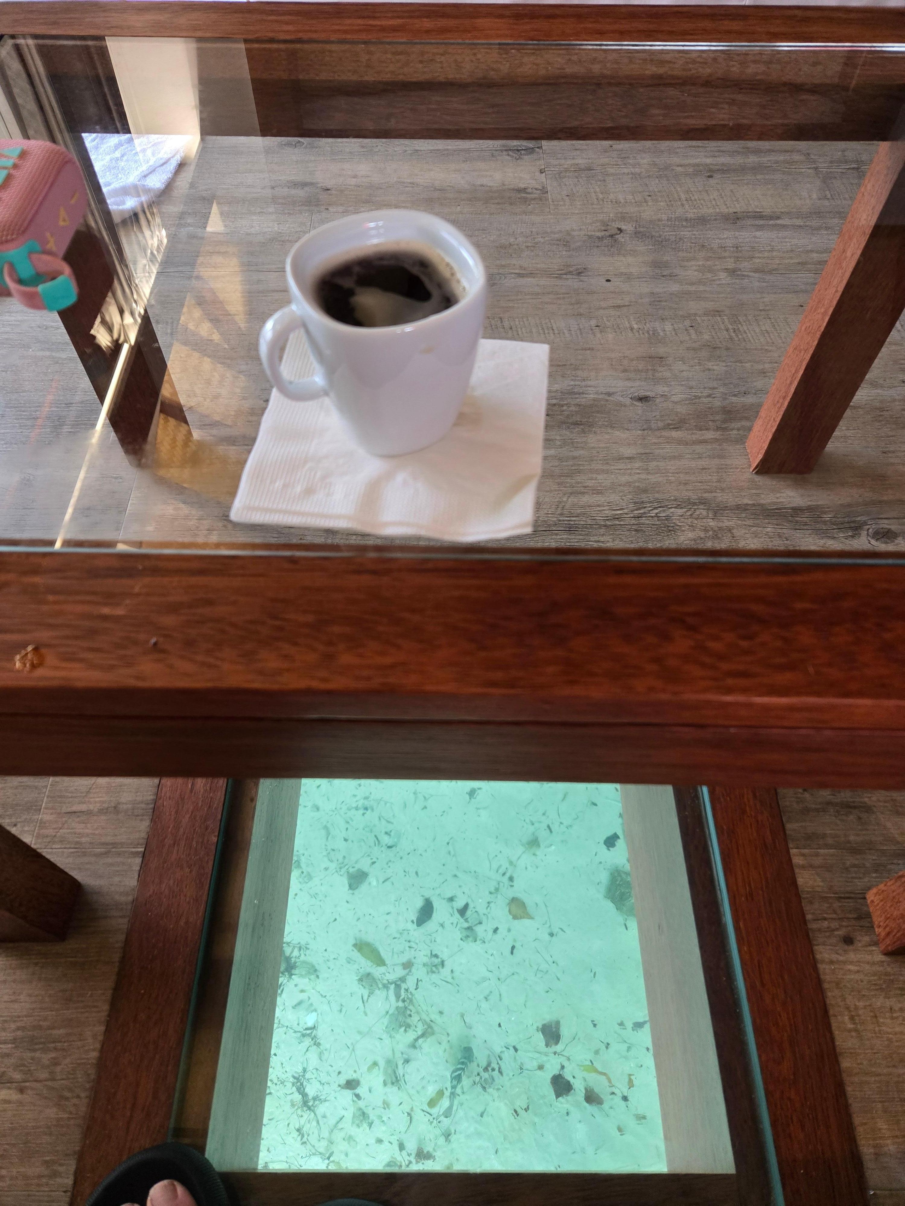 Morning coffee watching the fish.