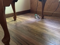 Living room, trash on the floor