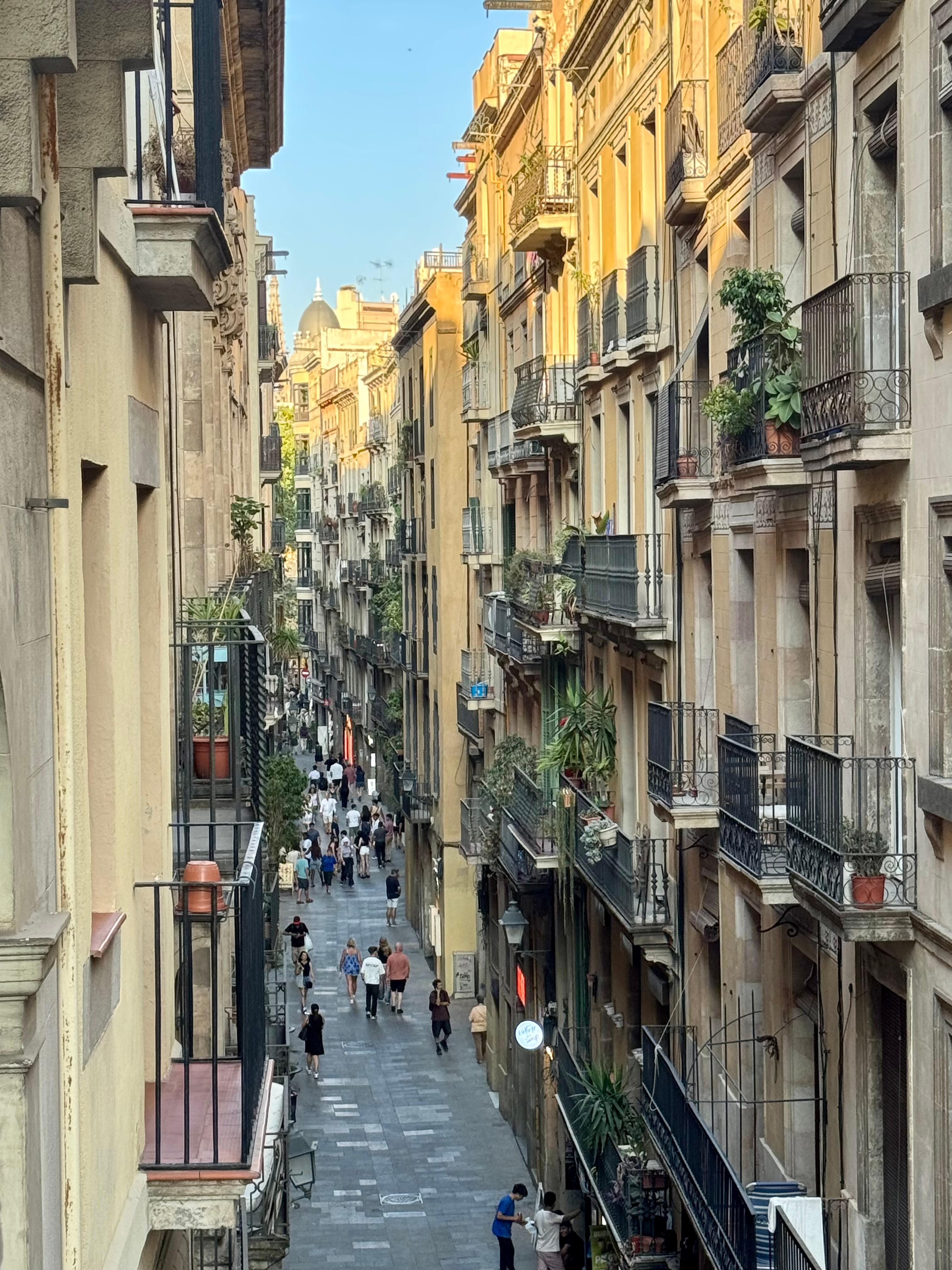 View from the Juliet balcony.
