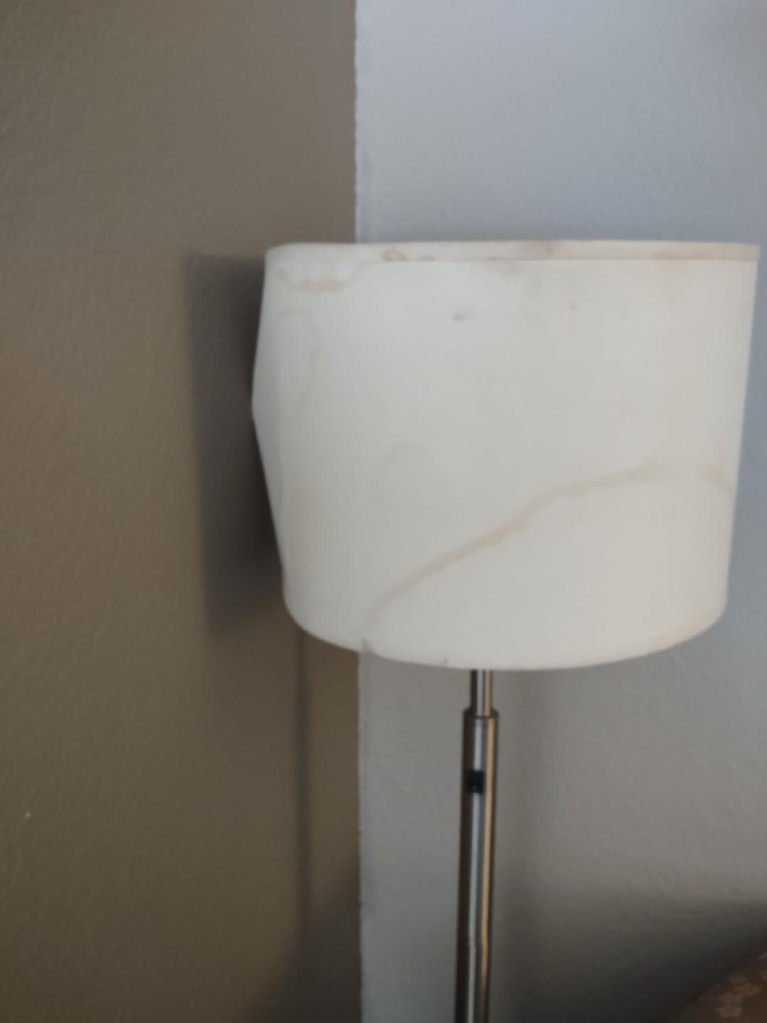 Disgusting lampshade