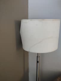 Disgusting lampshade