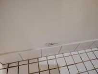 Mold/mildew in the bathroom