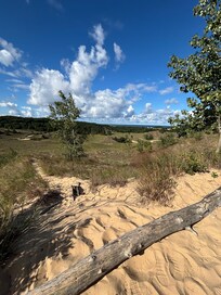 Saugatuck dune rides