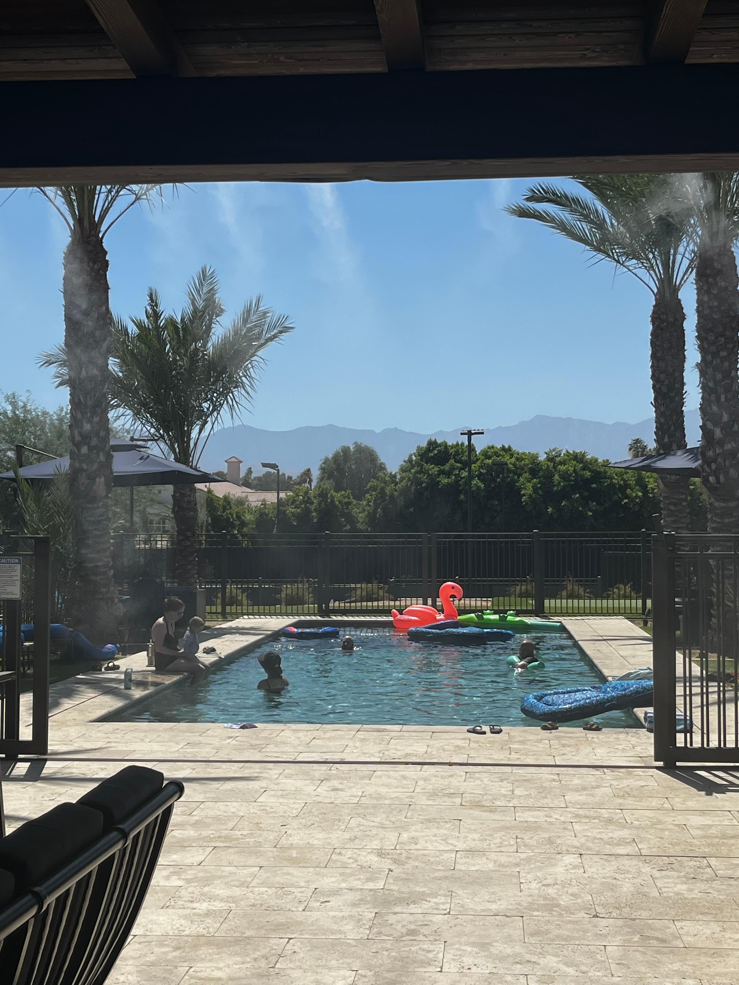 View from the family room