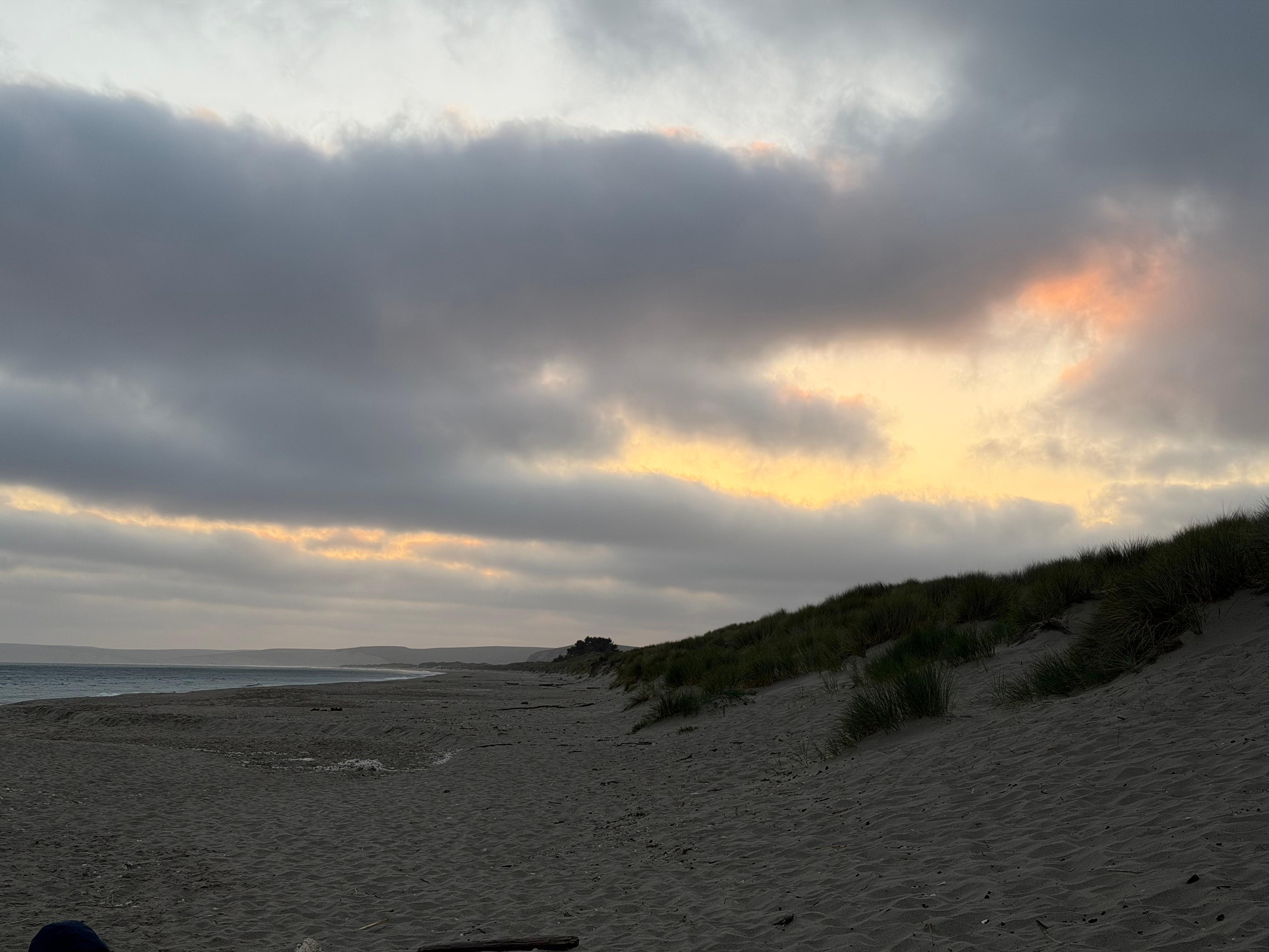 Limantour Beach