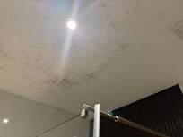 Shower ceiling