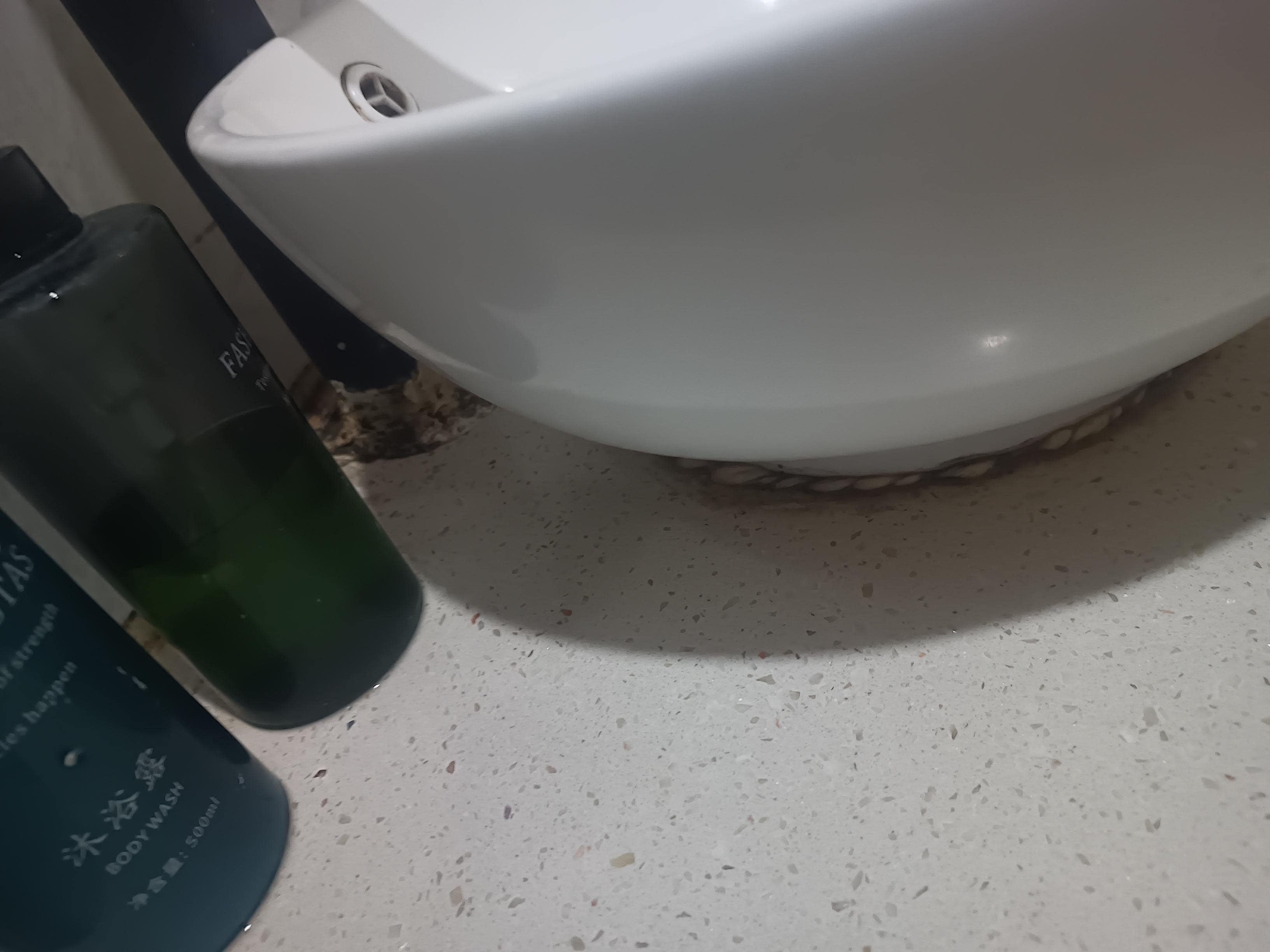 More mold in the table and around the sink toilet was broke