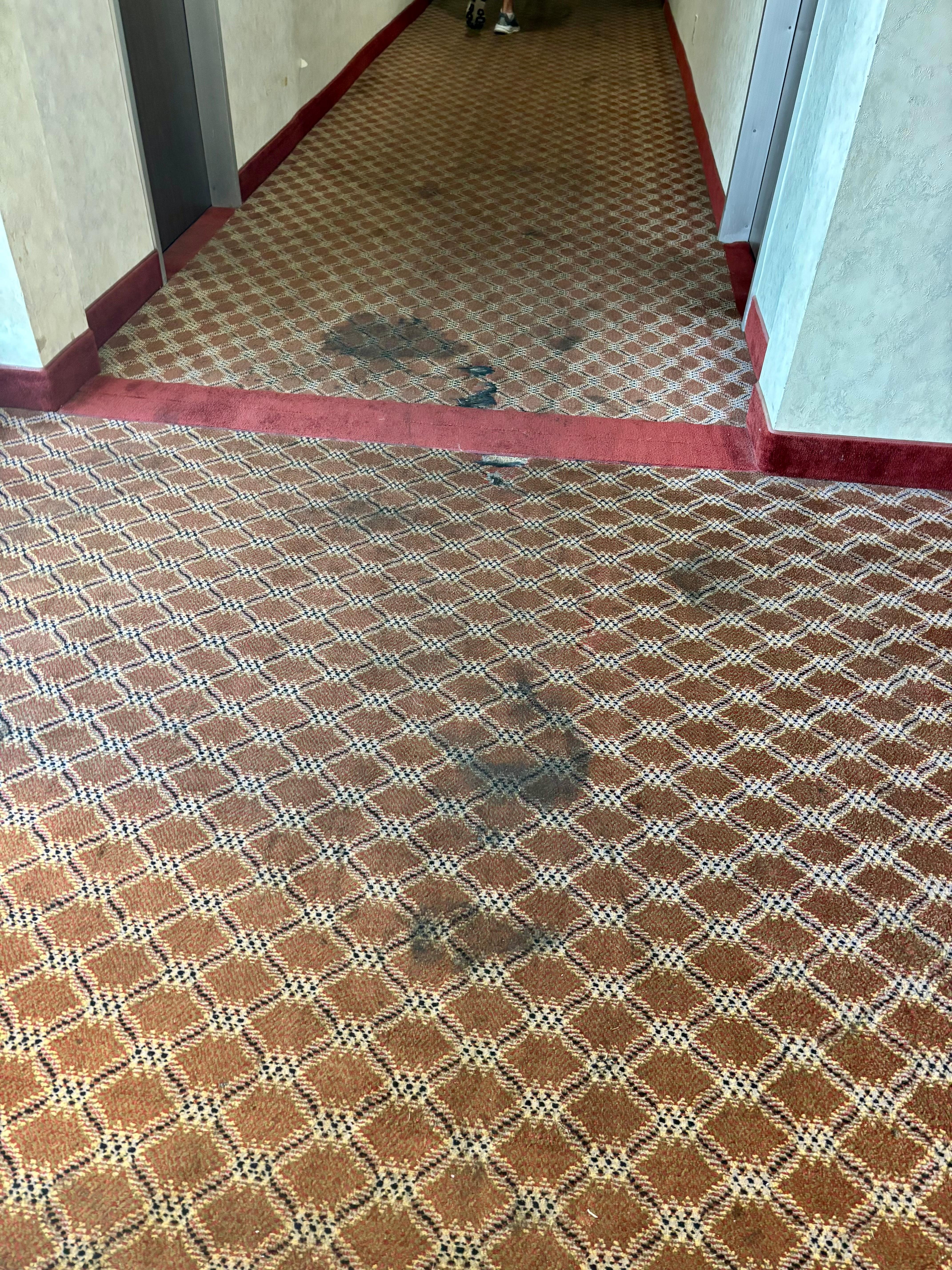 Carpeting in the hallways