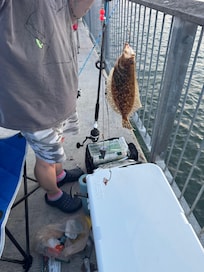Fishing at pier by the hotel