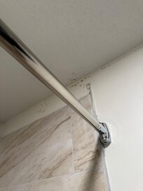 Mold in shower