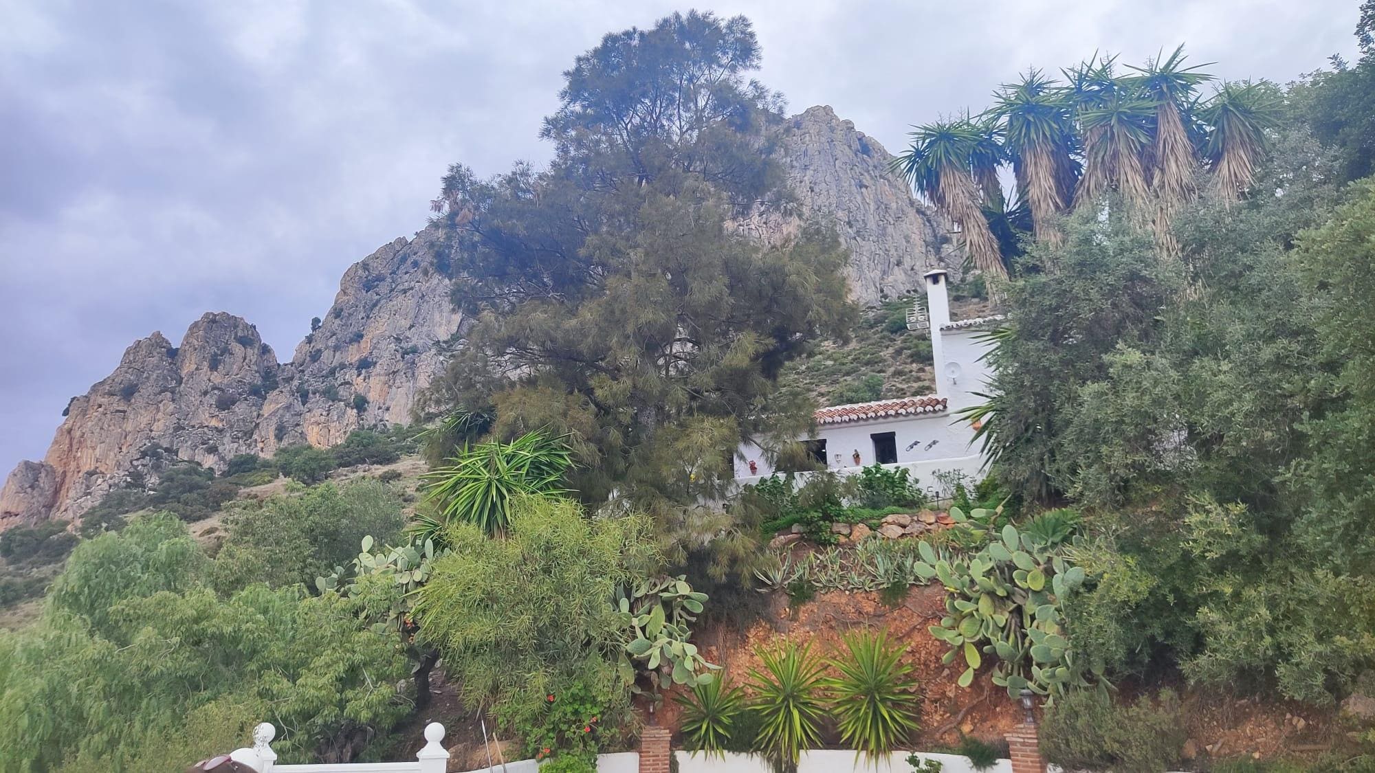 View from the front porch