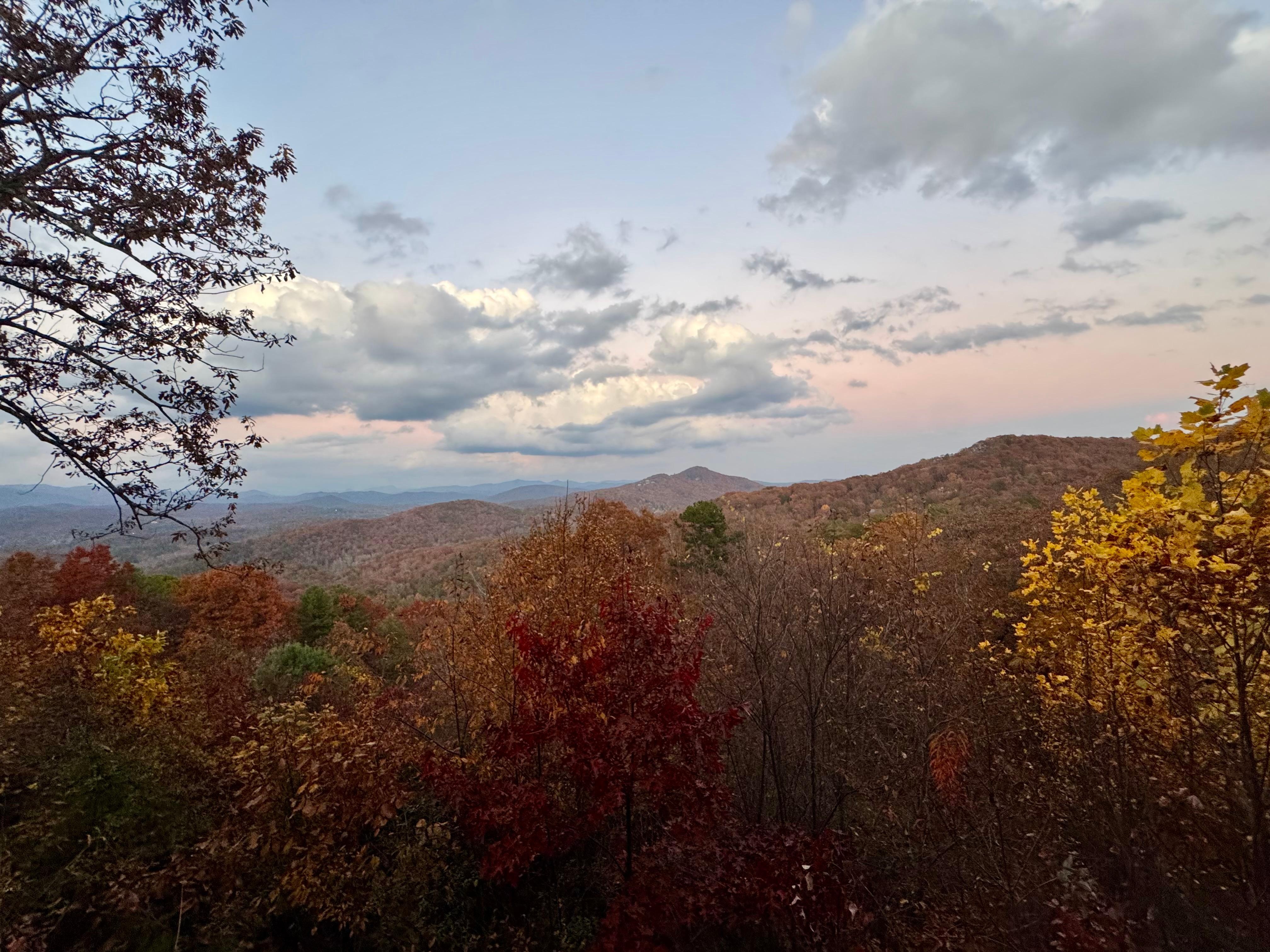 Afternoon sun from deck