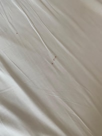 Braune Flecken trotz Wechsel der BettwÀsche nach Beschwerde