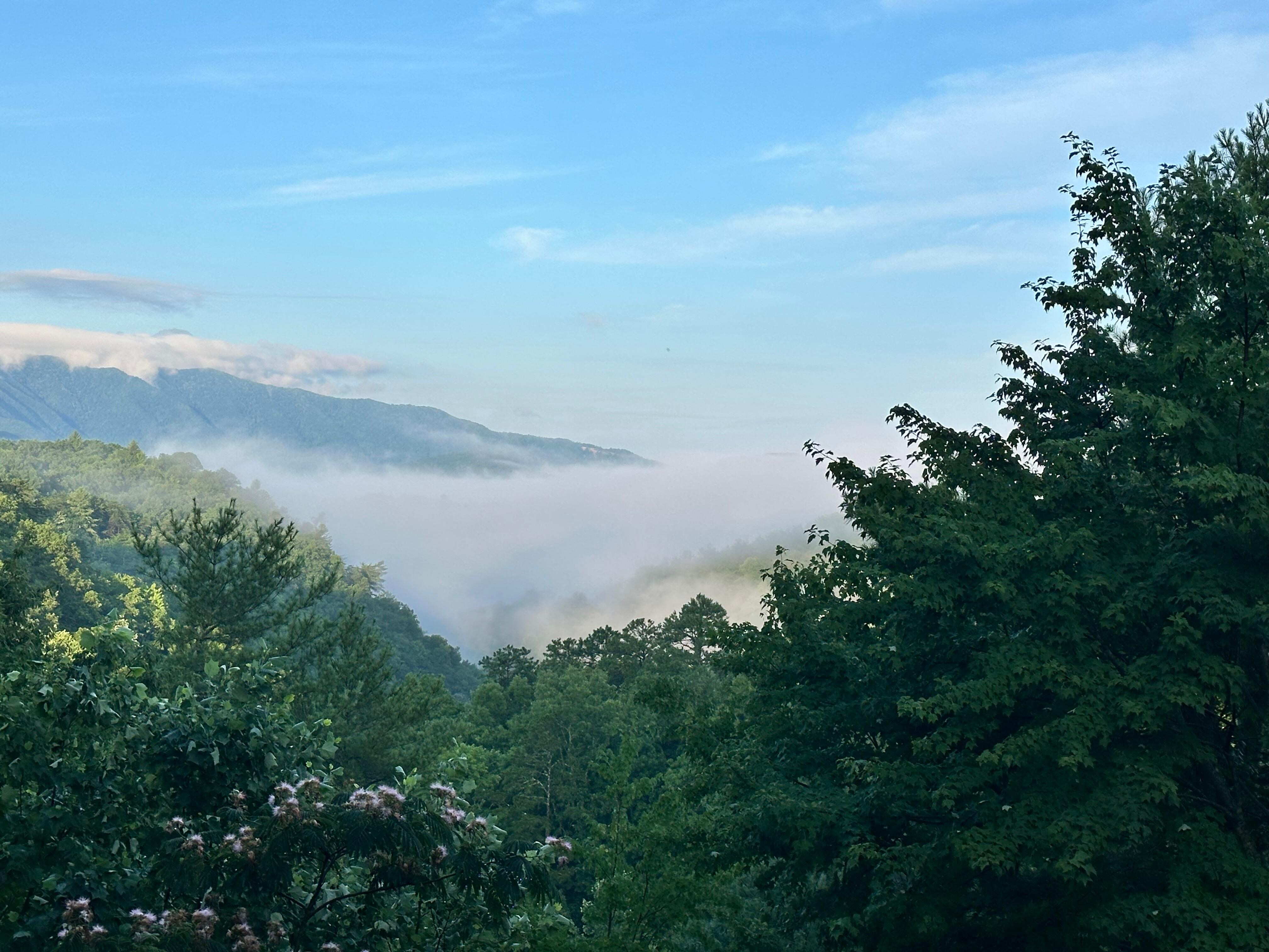 From the deck morning