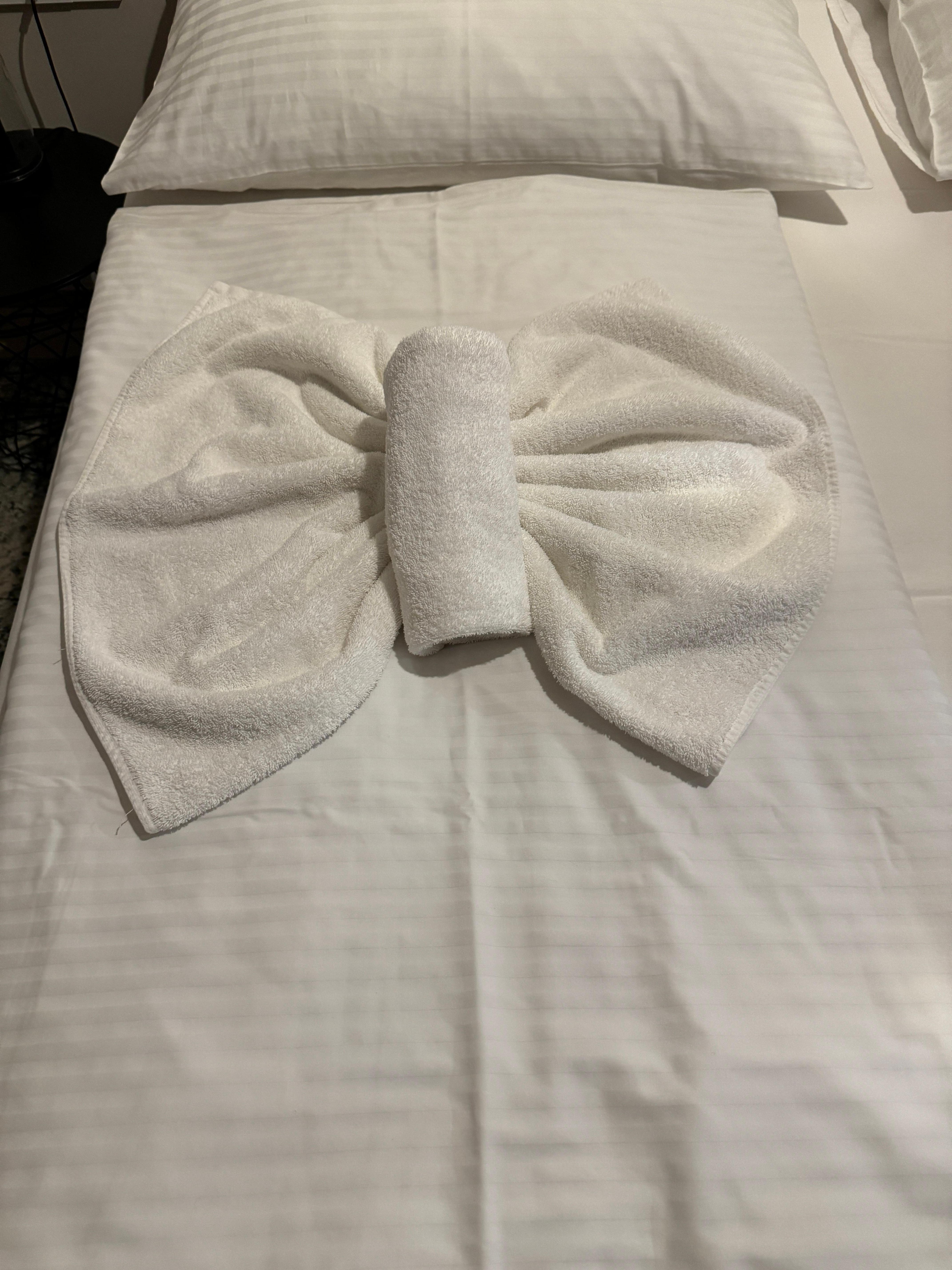 Welcome butterfly in towels left by room service. 