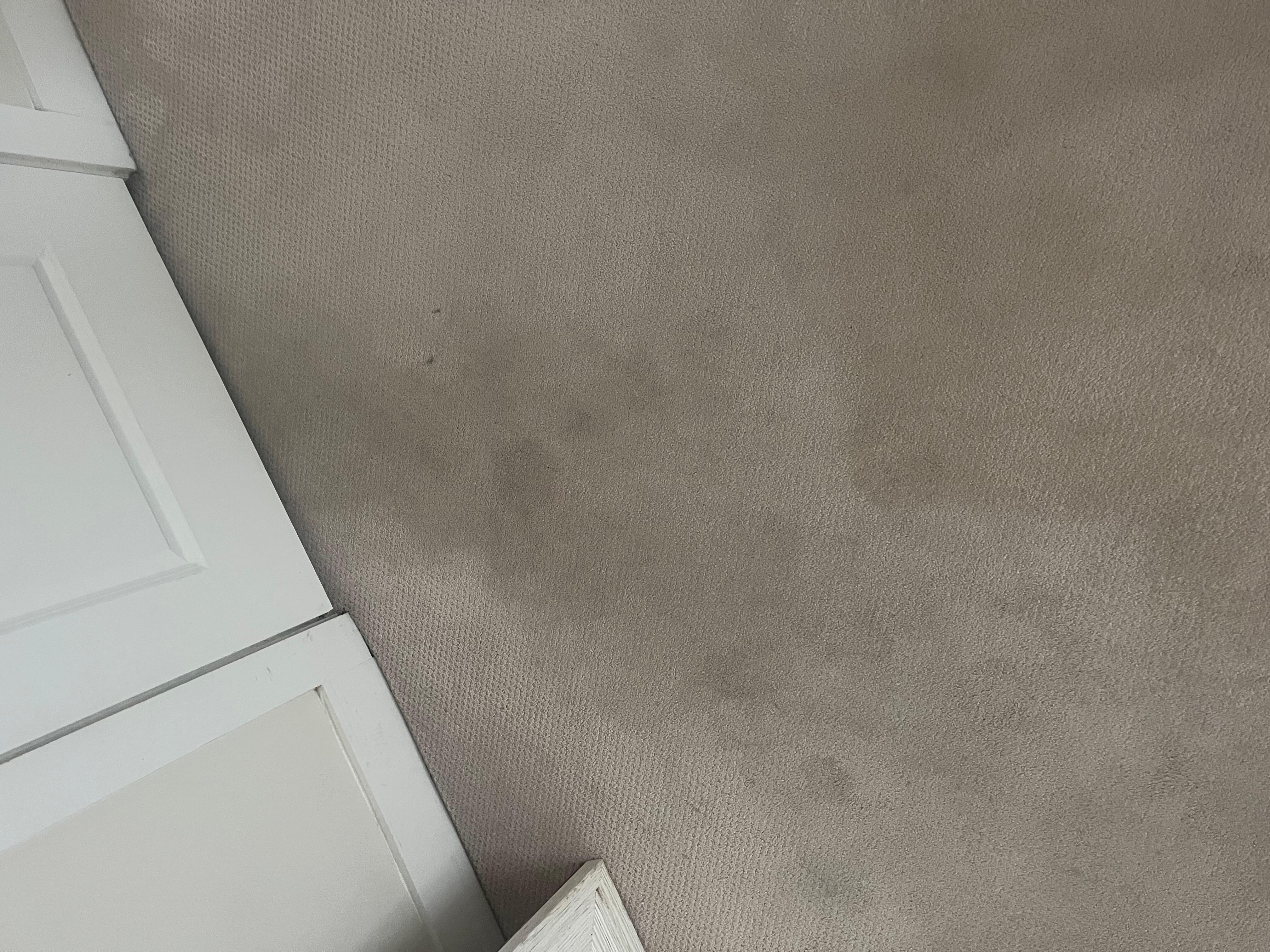 Carpet and tiles were dirty and stained. No one felt comfortable walking around without shoes on