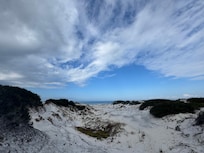 View of the dunes in the state park.