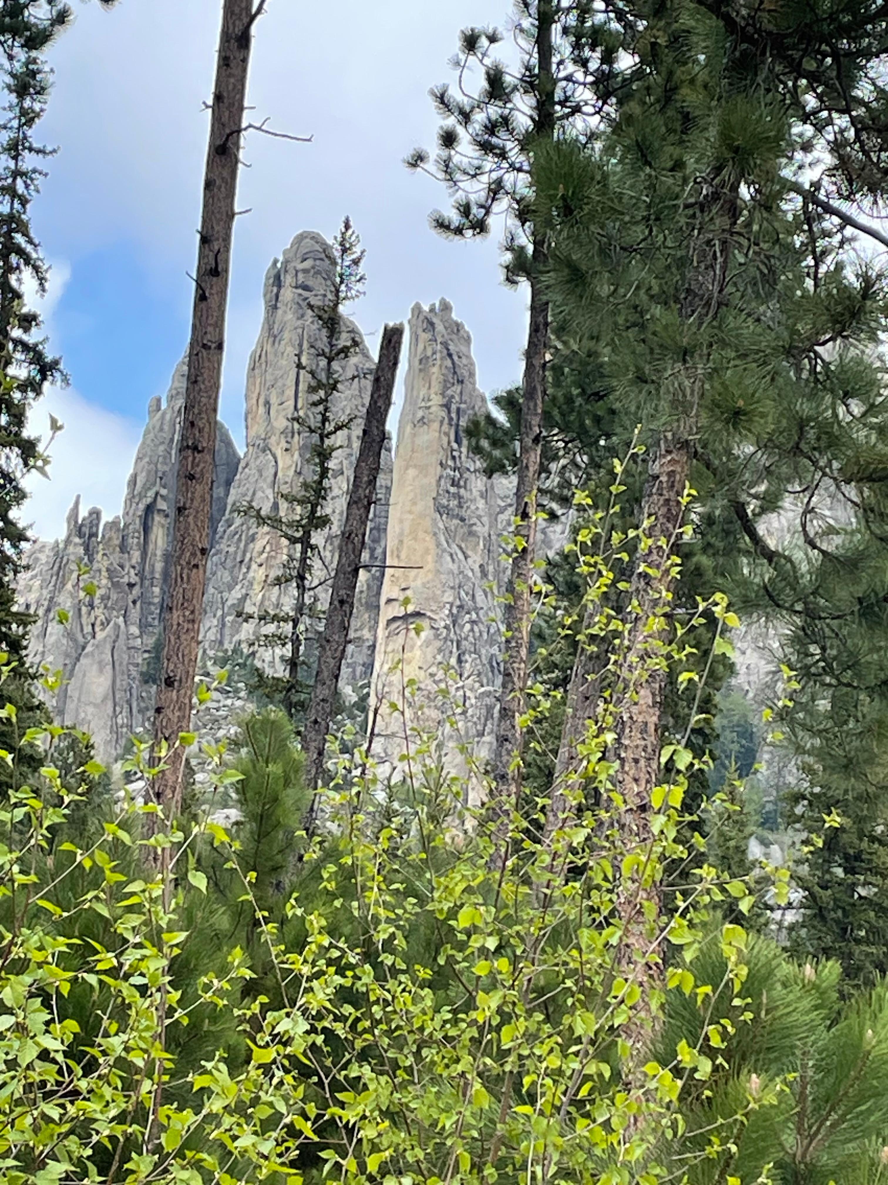 Cathedral Spires