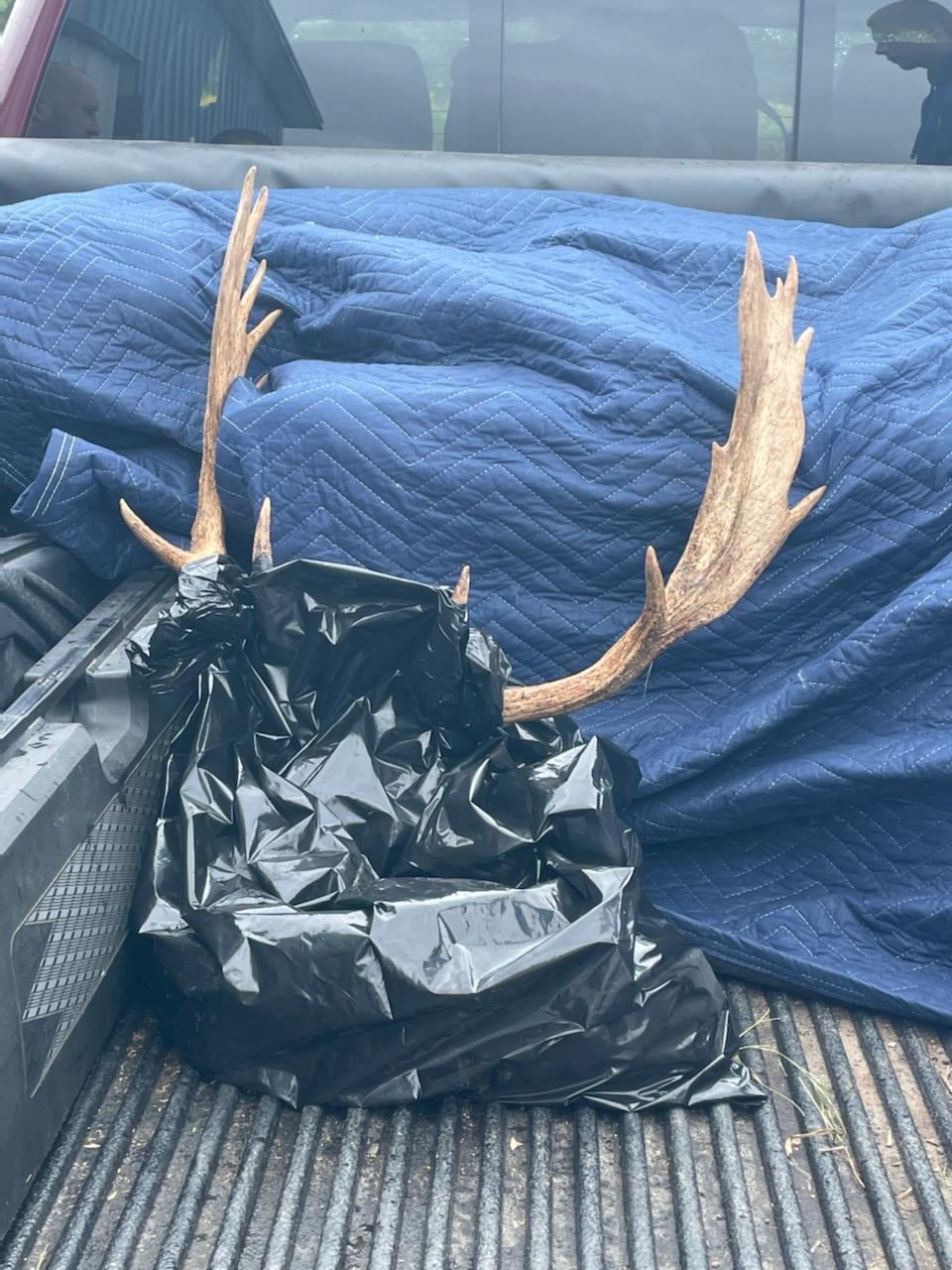 The Hotel was great. In a location to get where you had been o go. The rooms were modern, clean, and  the maid did a good job