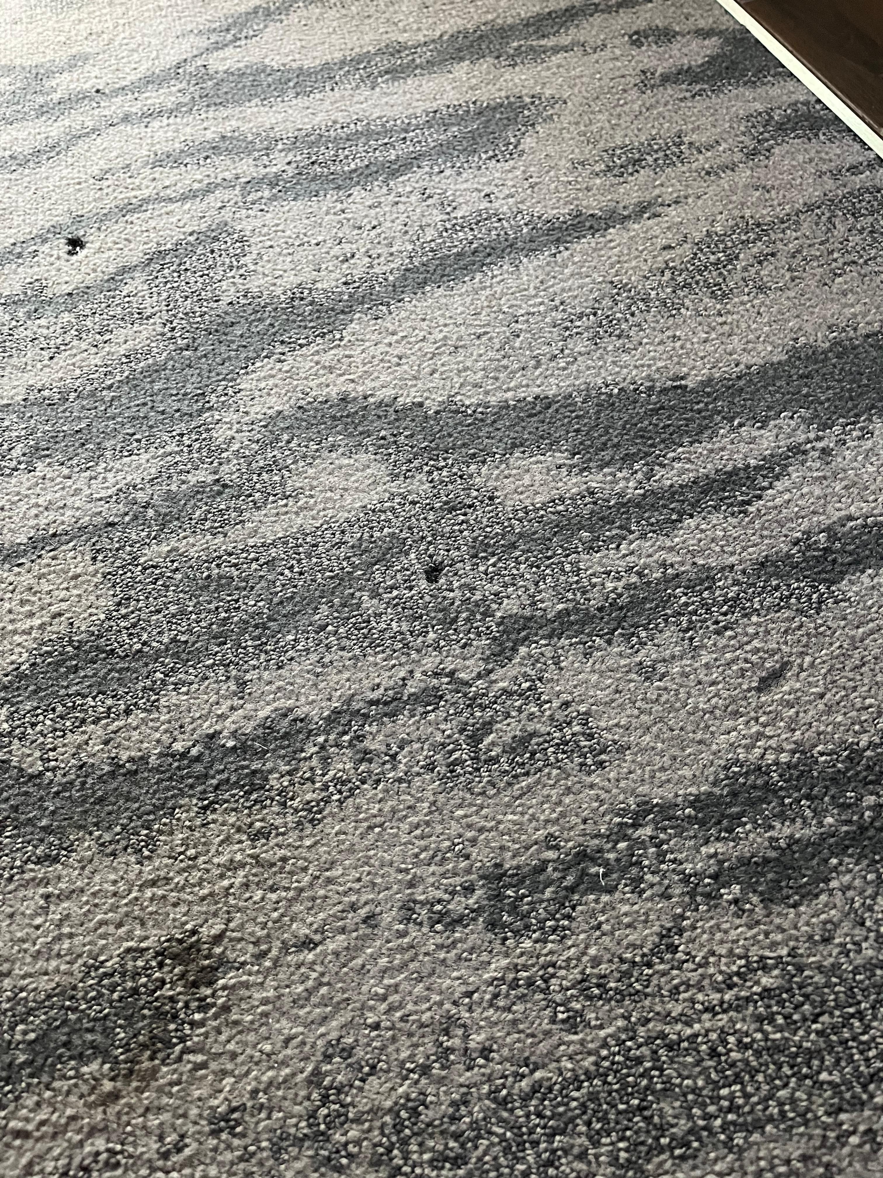 Carpet had dirt and rug burns. 
