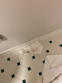 Wet a cloth to wipe up crumbs from floor and it can away black.