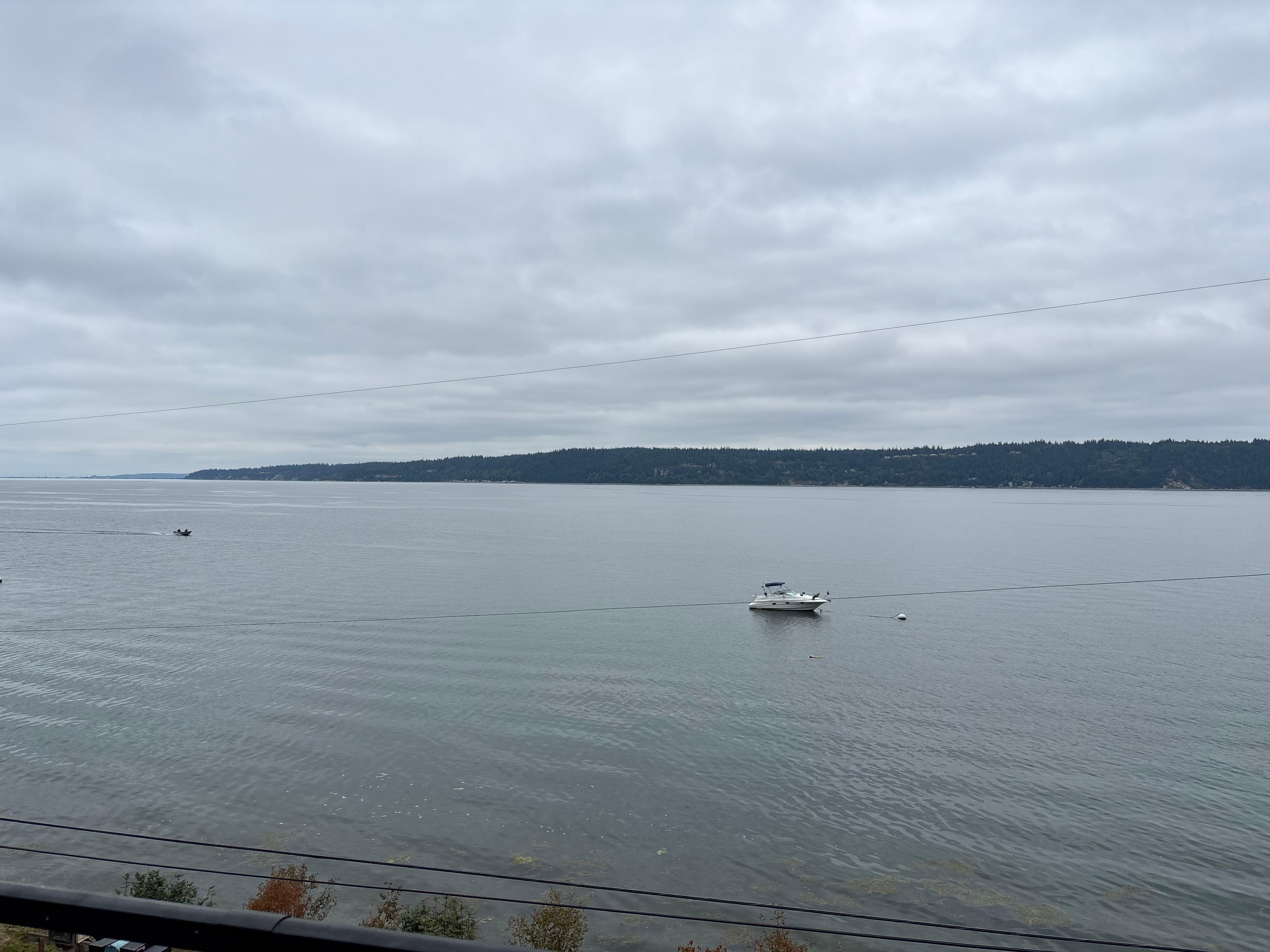 View from the rooftop deck