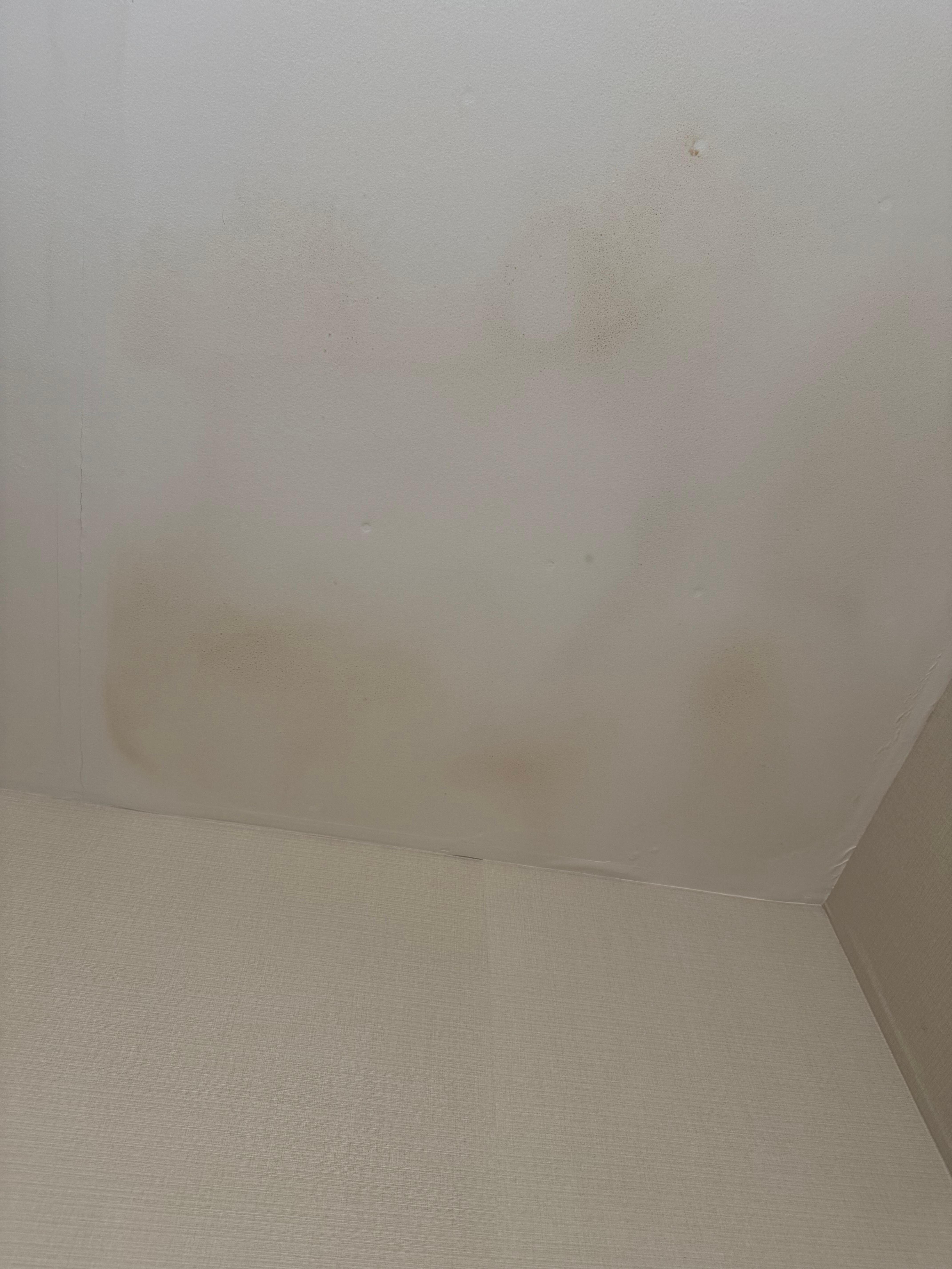 Bathroom ceiling
